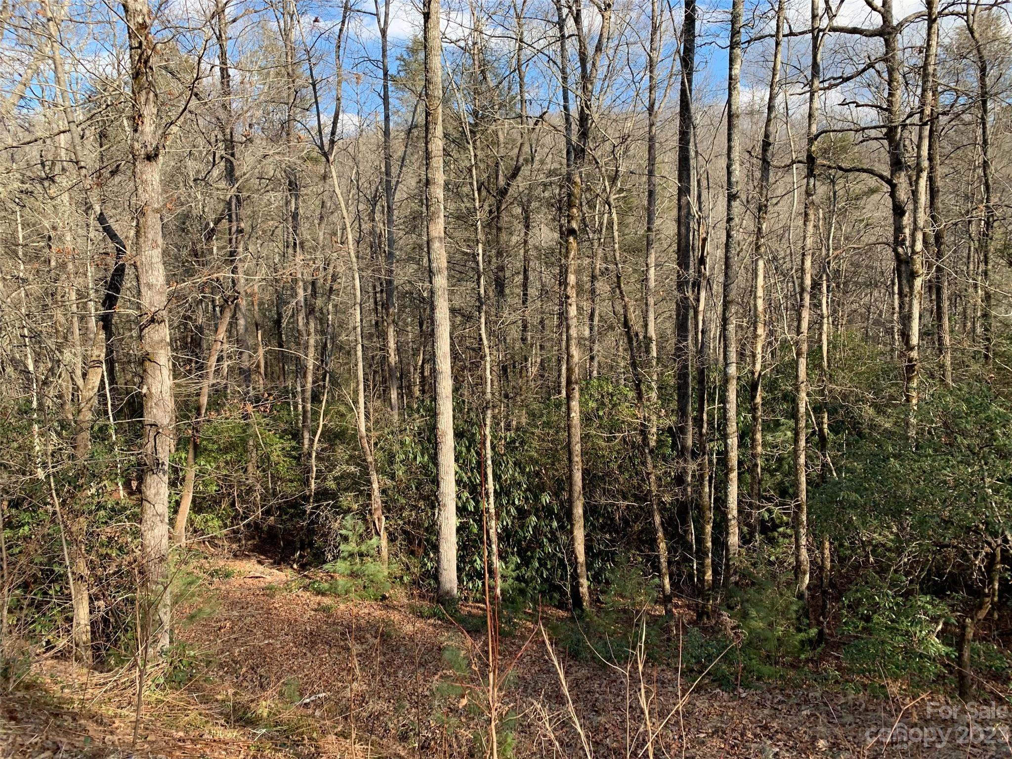 126 Green Hollow Lane
