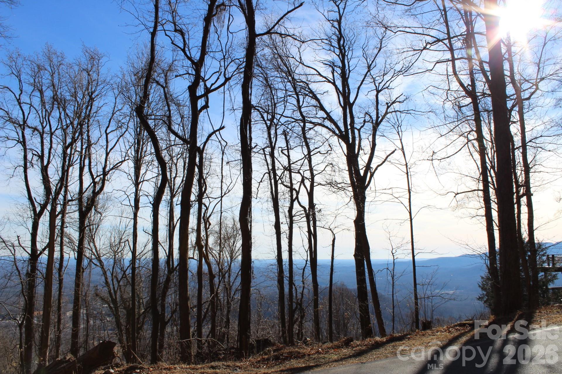 Lot 58 White Oak Mountain Road 58