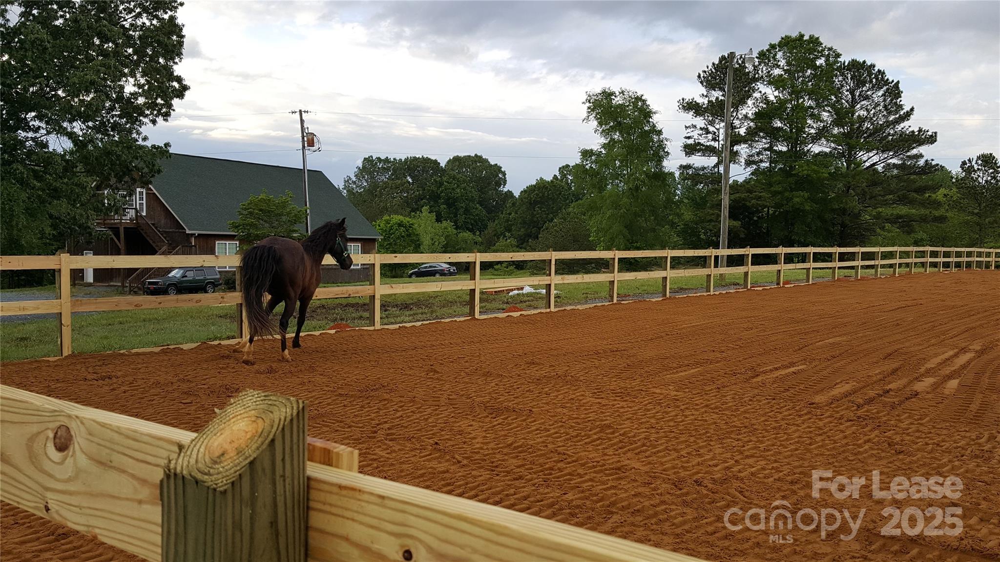 none - Residential Lease