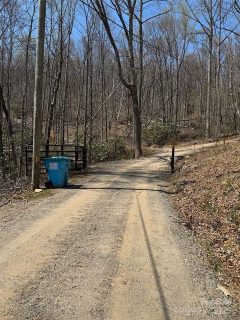 99999 Long Branch Road 1 Swannanoa NC 28778