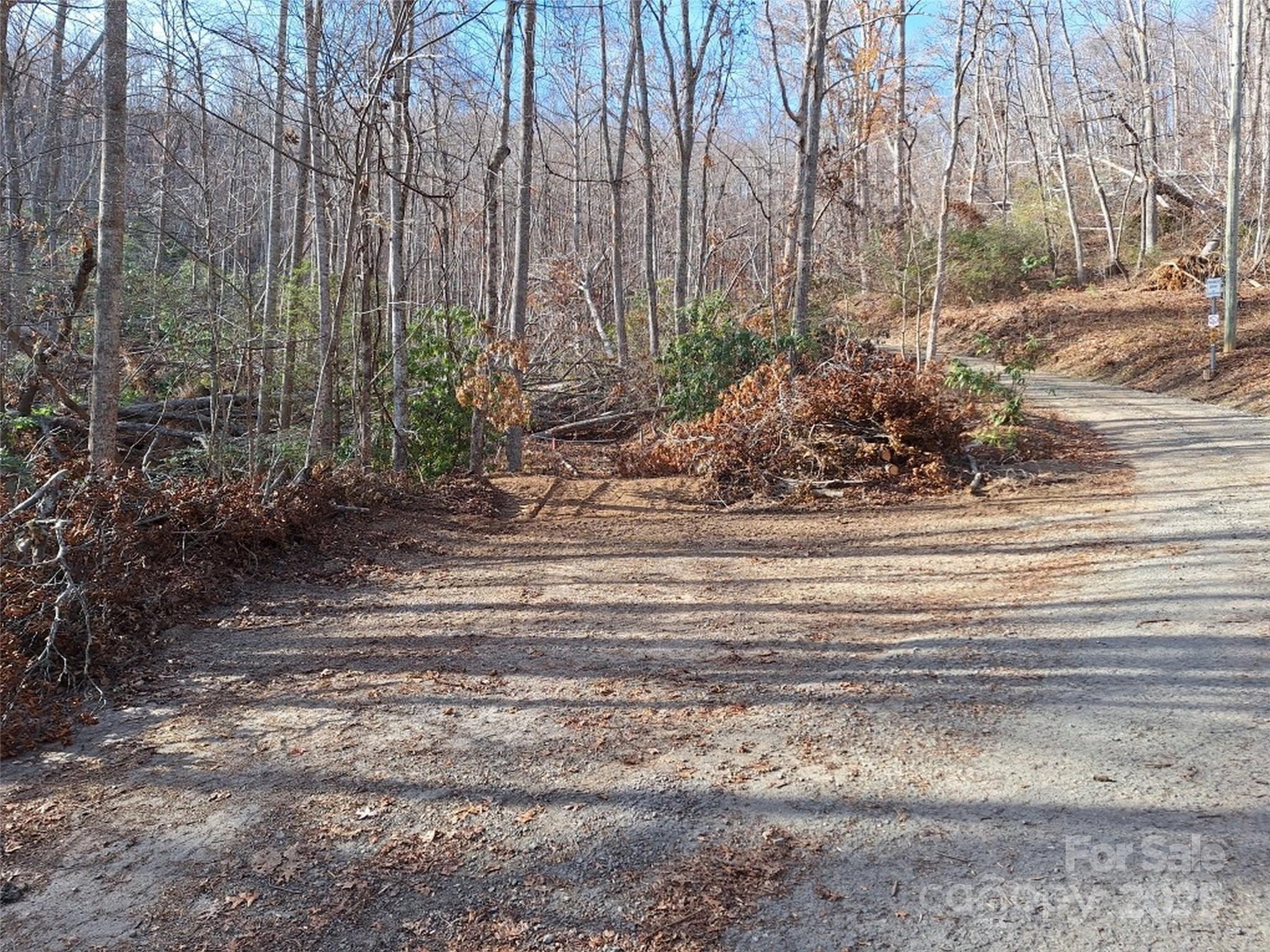 99999 Long Branch Road 1