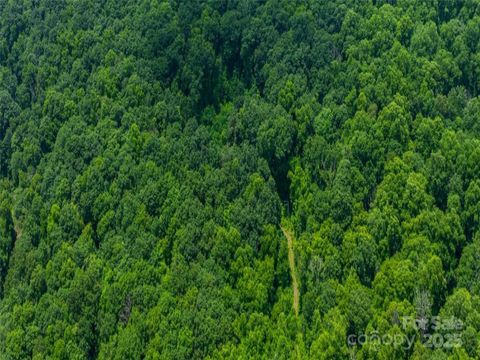 99999 Long Branch Road 1 Swannanoa NC 28778