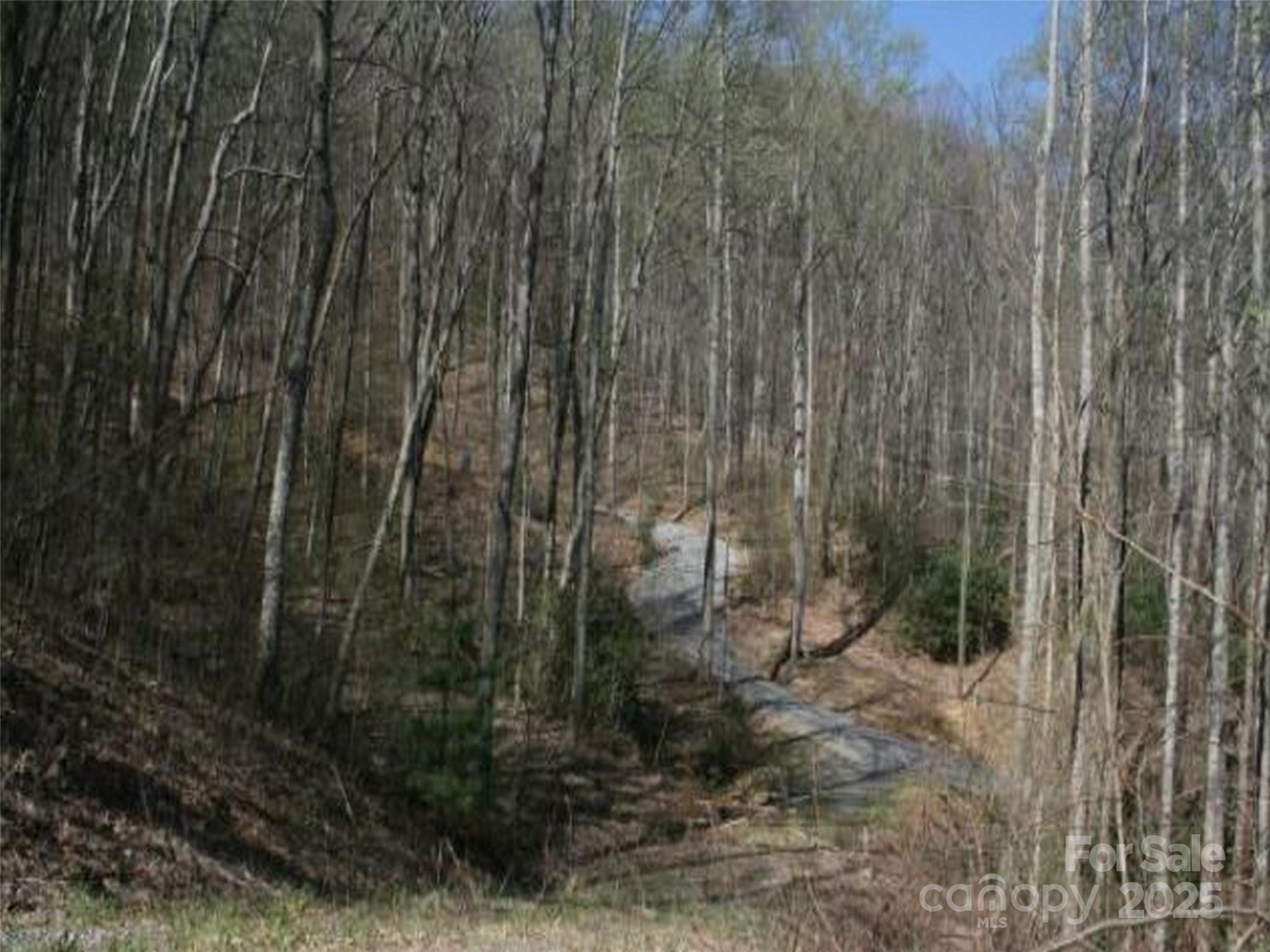 99999 Long Branch Road 1
