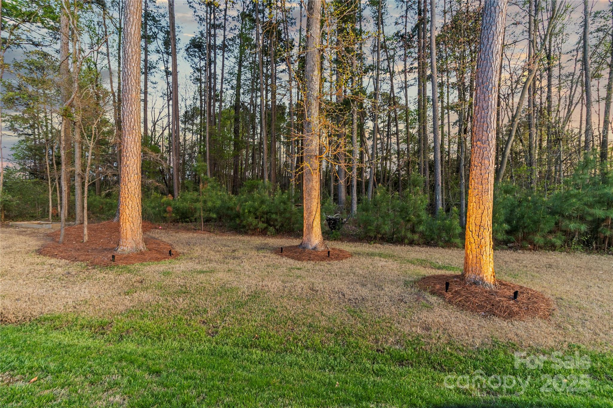 4427 Bright Road