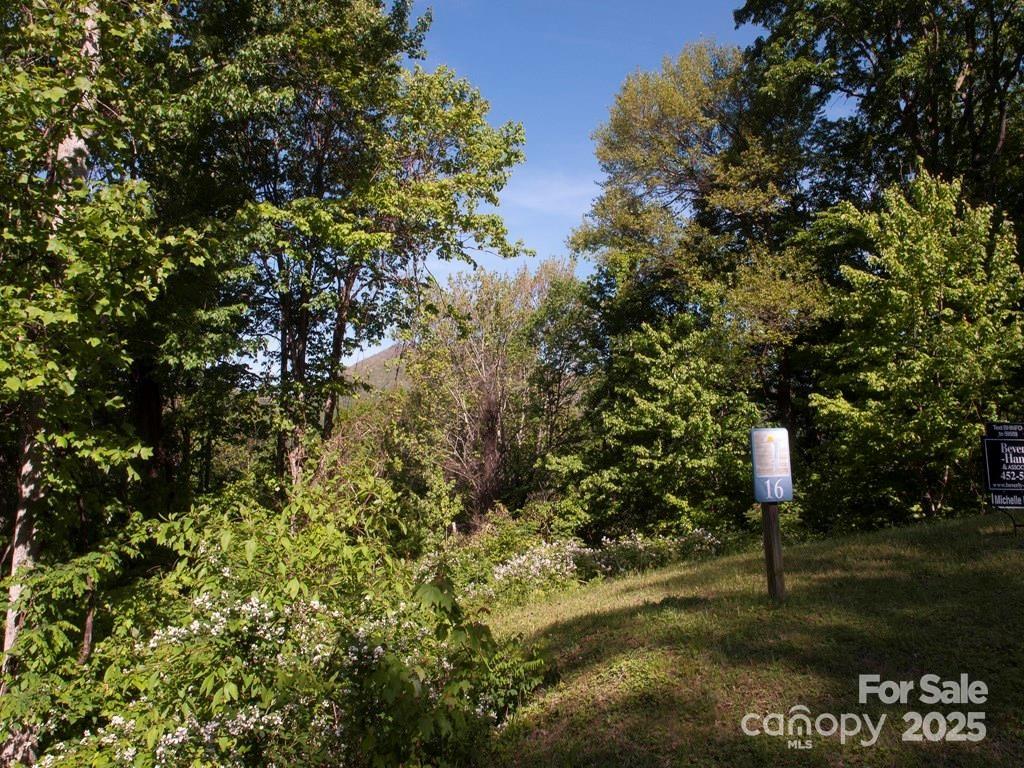 Lot 16 Sunset Falls Drive 16