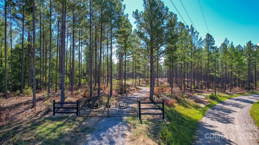 Discover a rare opportunity in Sharon, SC with this picturesque 89.48 acres of endless opportunity. This versatile property beckons with numerous building sites one of which is already perked for a standard septic system, multiple potential pond sites, and a thriving abundance of wildlife including deer, turkey, small game including sightings of wild Bobwhite quail. Valuable timber resources add an extra dimension to its investment potential allowing you to step in the property with timber value day one. The timber consists of approx. 25-year-old pines covering all but 10 acres of hardwood mix, roads, and openings on the property. With options for acreage division, the canvas becomes even more expansive, accommodating various development visions. Conveniently located, it provides a perfect blend of tranquility and accessibility. This unique parcel invites you to shape your vision and start cultivating your legacy on this gorgeous piece of ground.