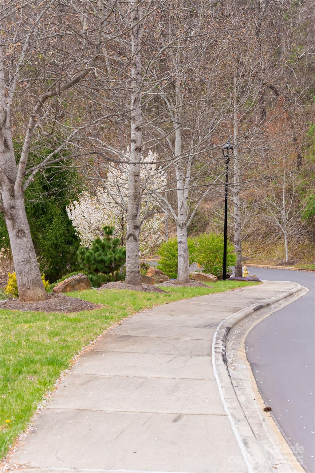 Grove Park Cove - Land