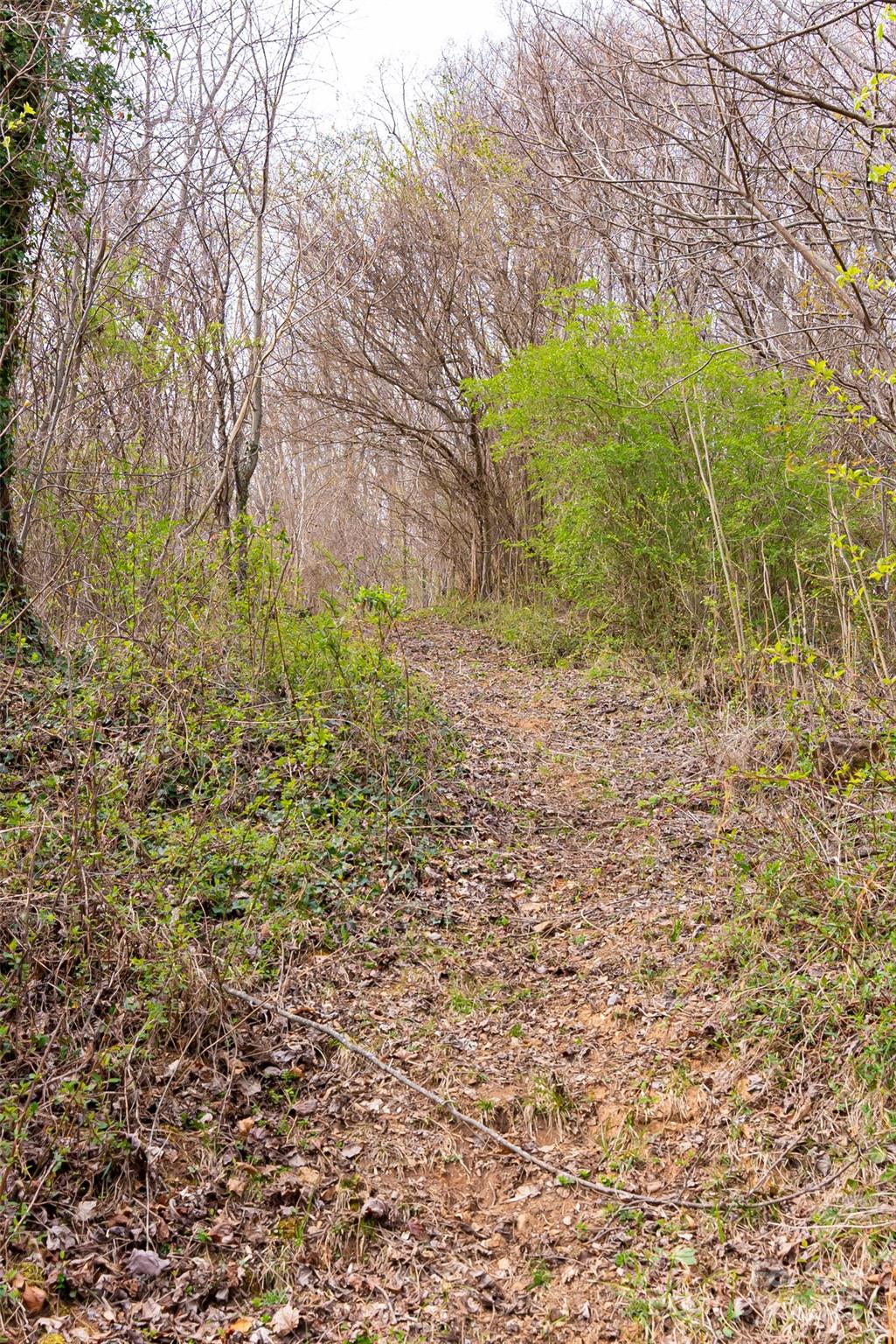 Grove Park Cove - Land