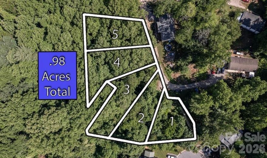 Attention builders, developers, and investors—don’t miss this rare opportunity in the heart of Black Mountain. Tucked away on a quiet, low-traffic street, this private, wooded property is just moments from Lake Tomahawk and the charm of downtown. With public utilities available and short-term rentals allowed, the possibilities here are abundant. Preliminary guidance suggests potential for up to five build sites (buyer to confirm), making this an ideal candidate for a small subdivision or investment project. The surrounding area offers an inviting lifestyle with nearby golf, tennis, sports fields, and a thriving downtown filled with beloved restaurants, breweries, coffee shops, and boutiques. Asheville is just a short 20-minute drive away. The existing structure is likely a teardown.
