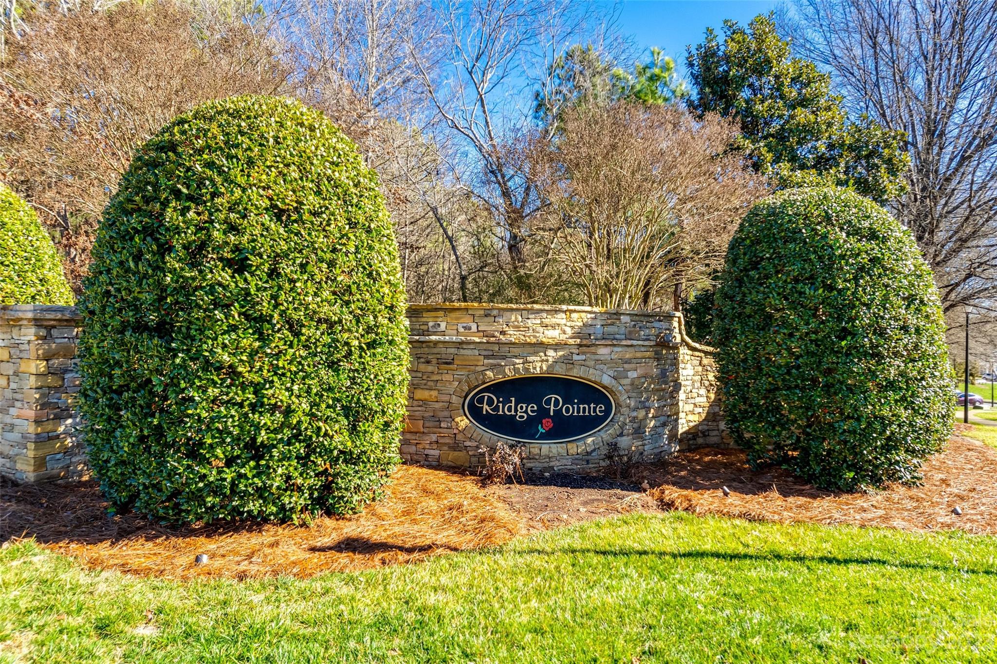 Ridge Pointe - Residential