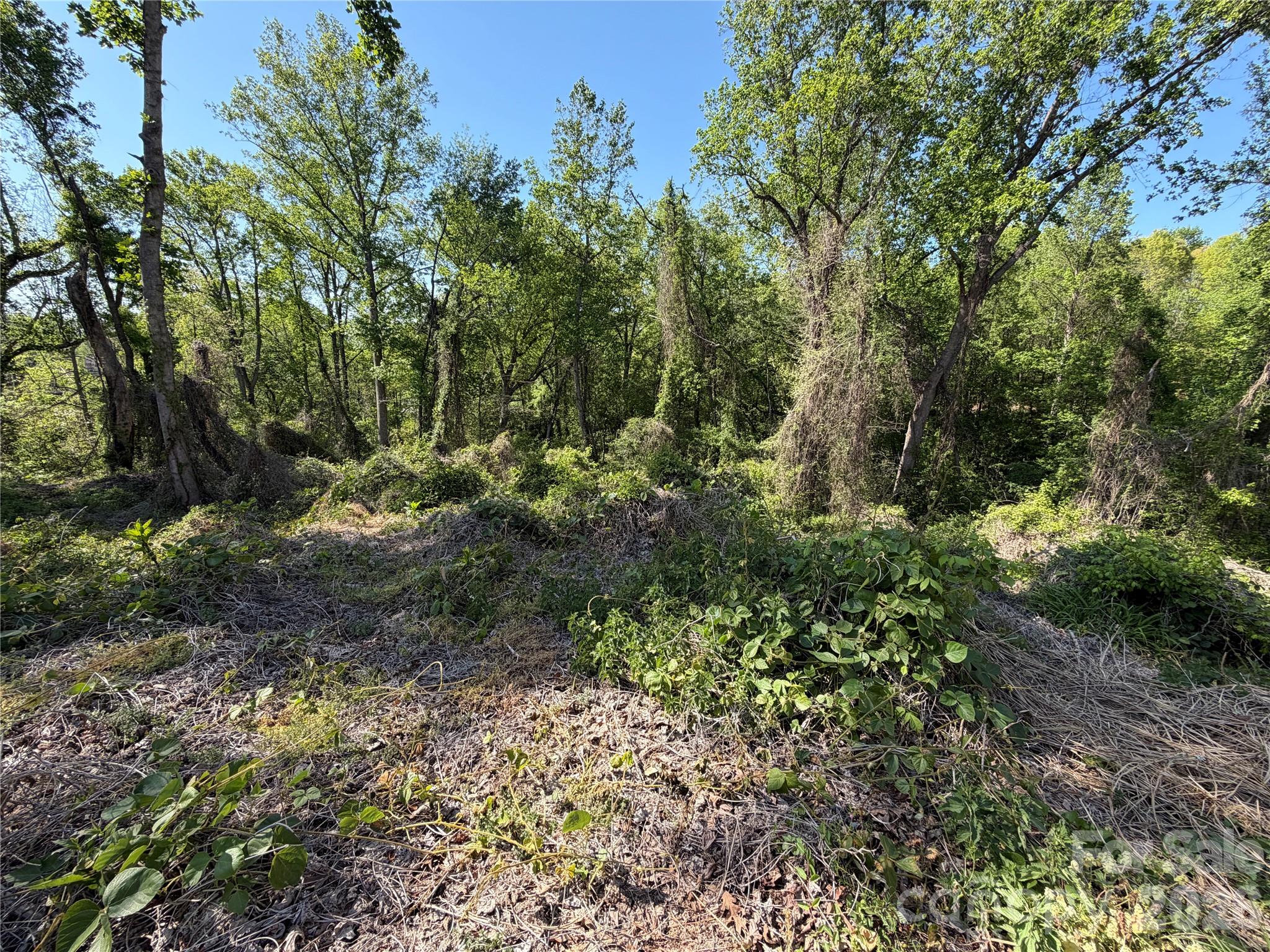 Edgewood Park - Land