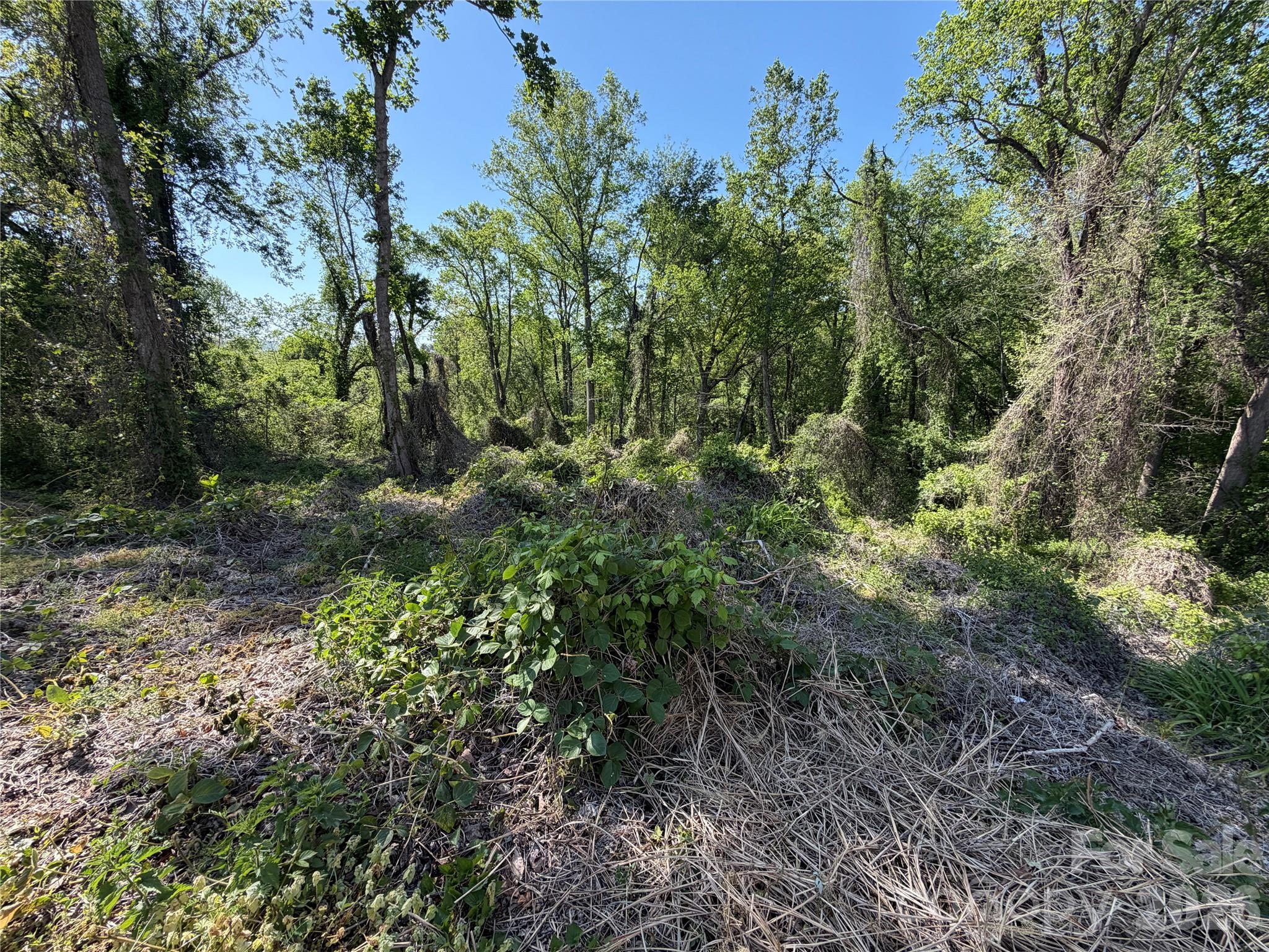 Edgewood Park - Land