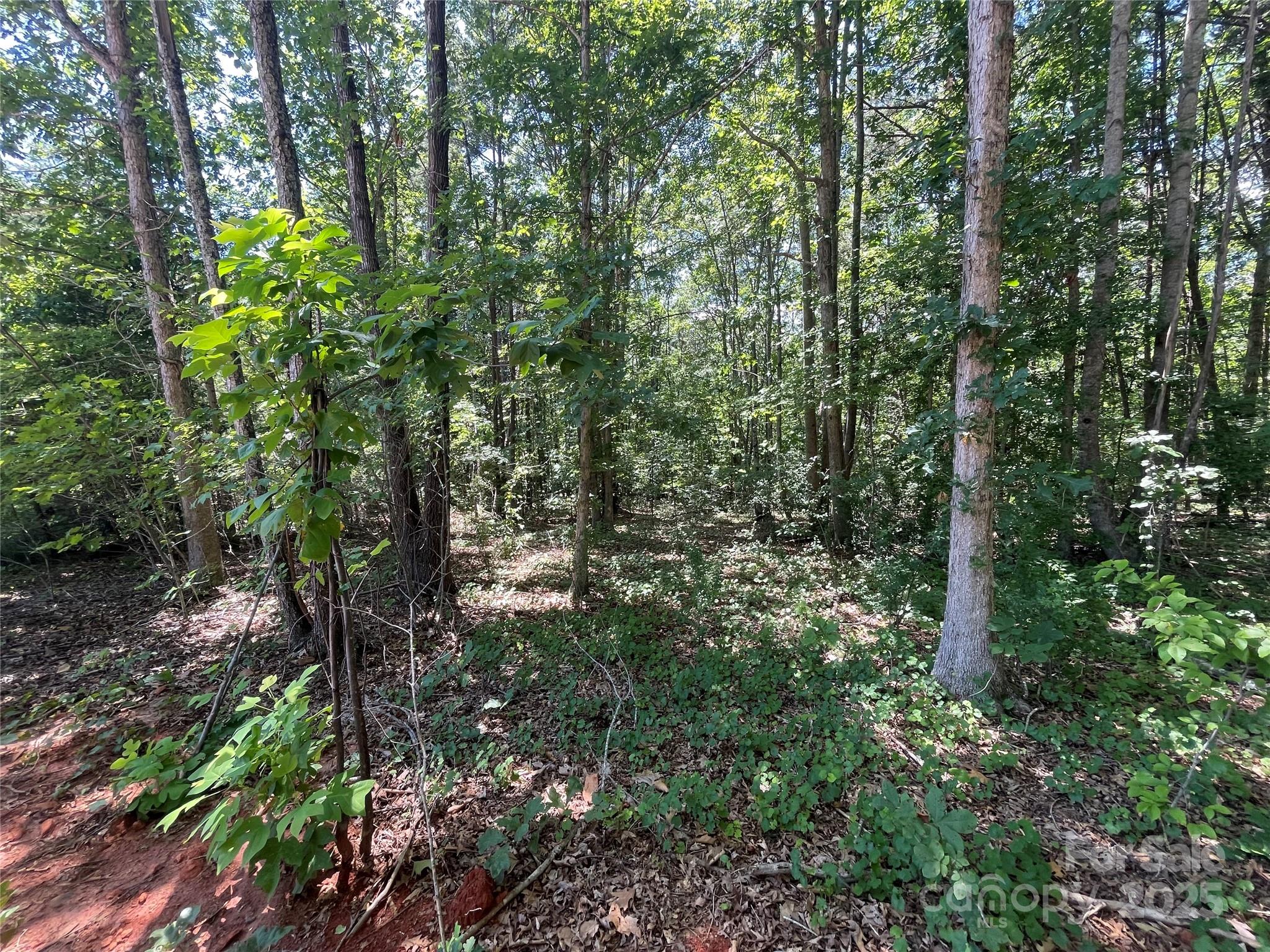 00 Jamesfield Drive 9