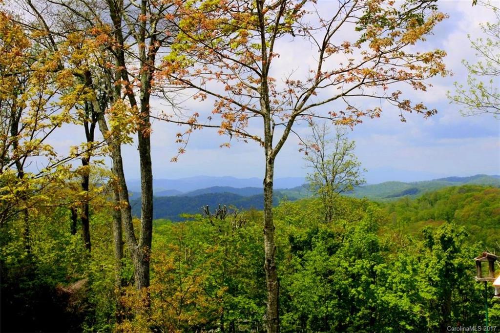 Wolf Laurel - Residential