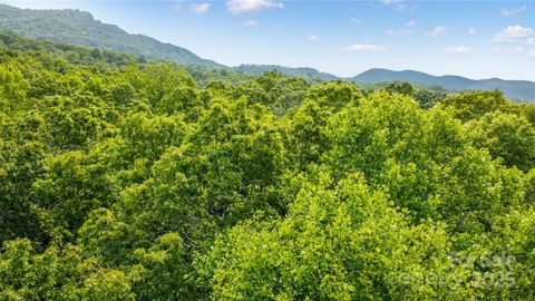 00 Morgan Hill Road Fairview NC 28730