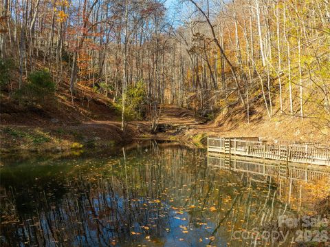 2736 White Oak Flats Road Green Mountain NC 28740