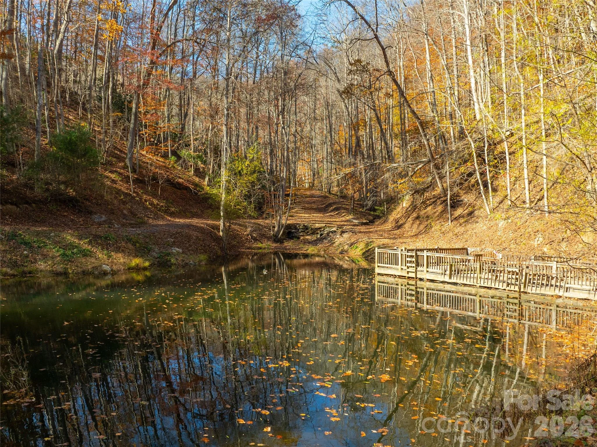 2736 White Oak Flats Road, Green Mountain, NC, 28740