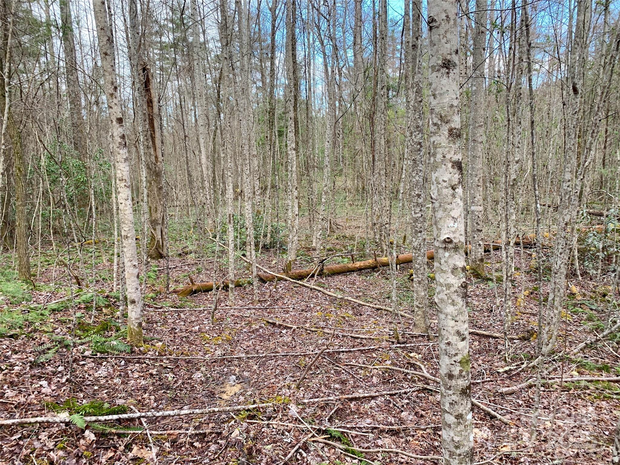 Round Mountain Falls - Land