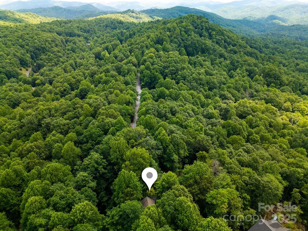 2023 Connestee Trail