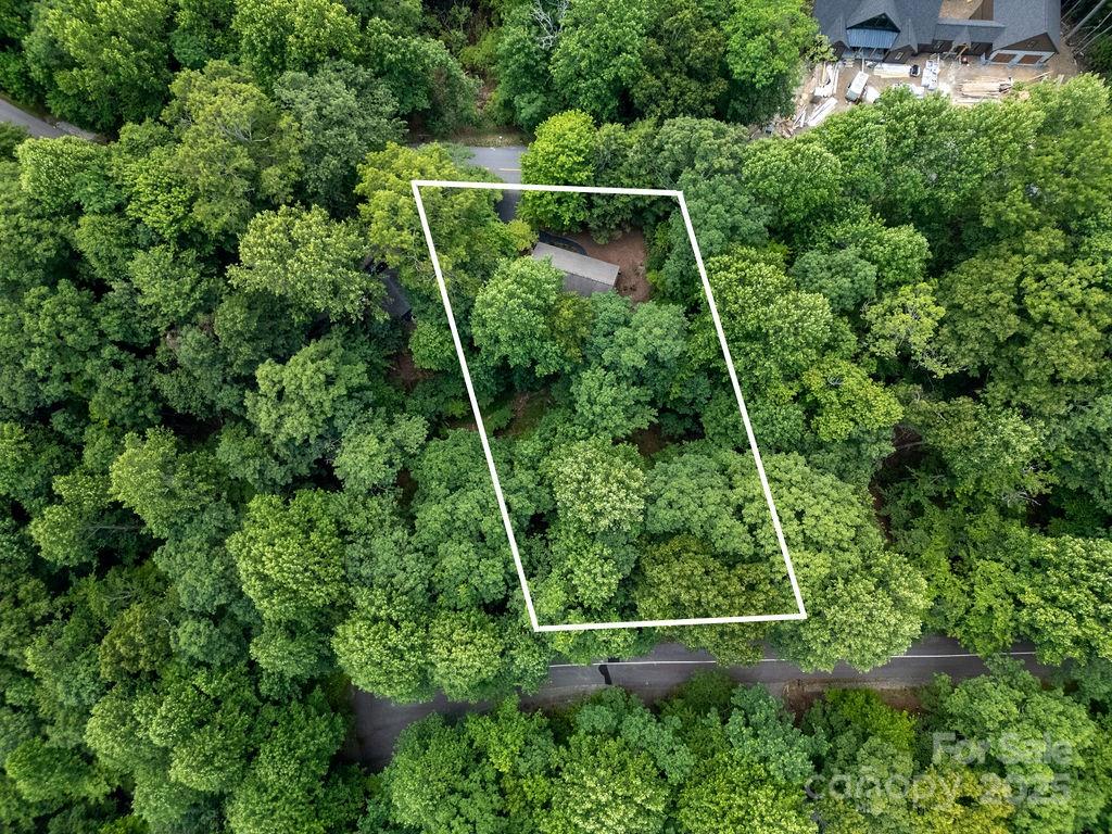 2023 Connestee Trail