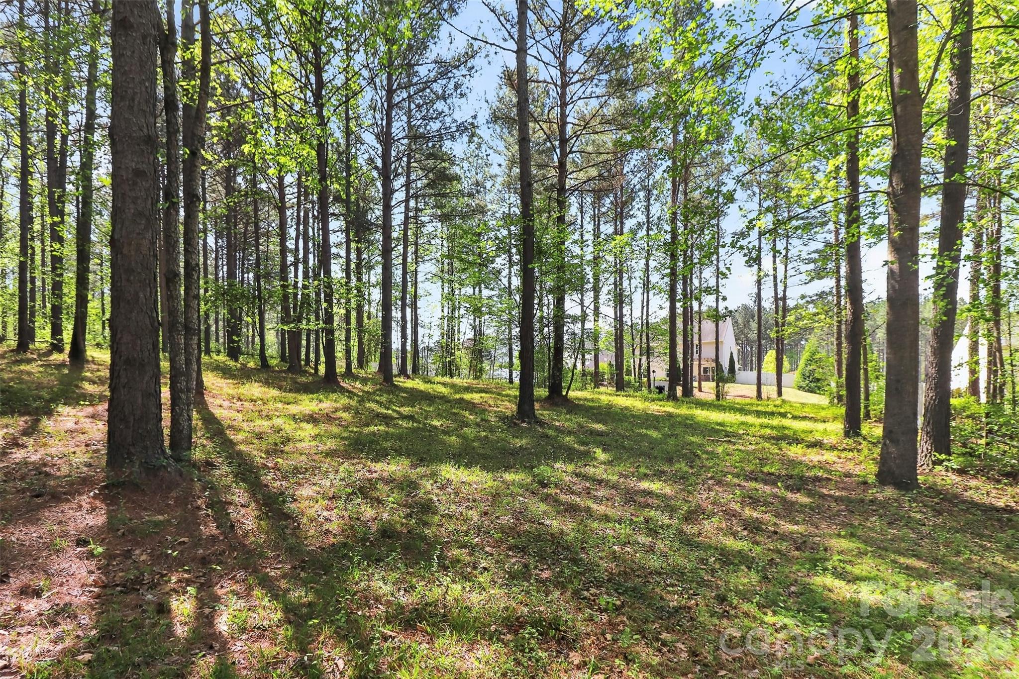 Conservancy at Waxhaw Creek - Residential