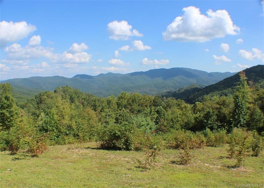 Mountain splendor! Have it all- the benefits of privacy, w/mountain views & a creek. Along w/those sought after features this land has many improvements inc. an easy access driveway to a cleared & level building site, a well, even fruit trees & bushes have been planted for you.  Occurring naturally at this lovely property is the Pisgah Natl Forest at your back door, level terrain & gentle slopes, wildlife, & the sounds of silence. Build your mountain dream home, start a mini-farm! No drive-bys.