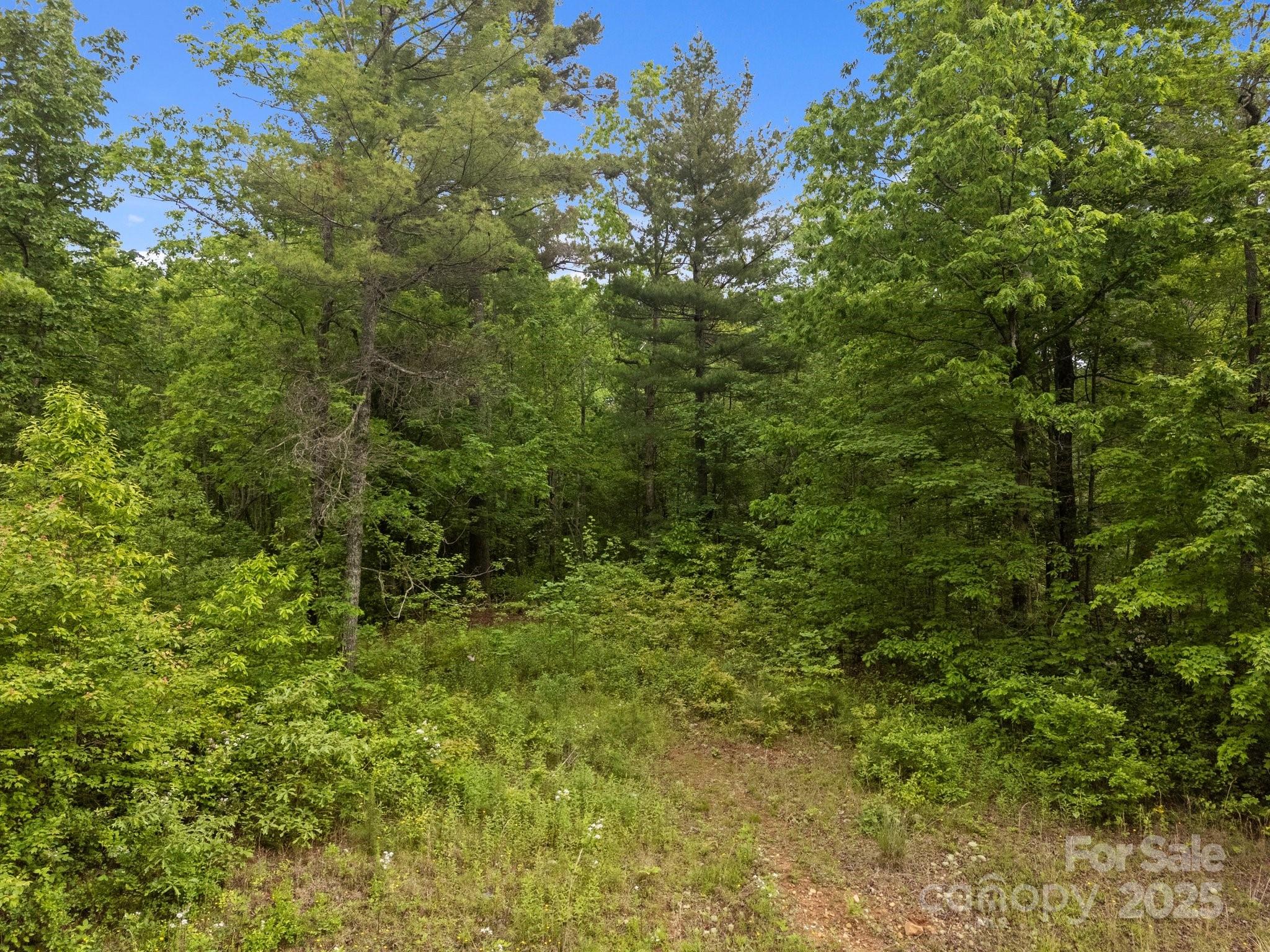 King Creek Preserve - Land