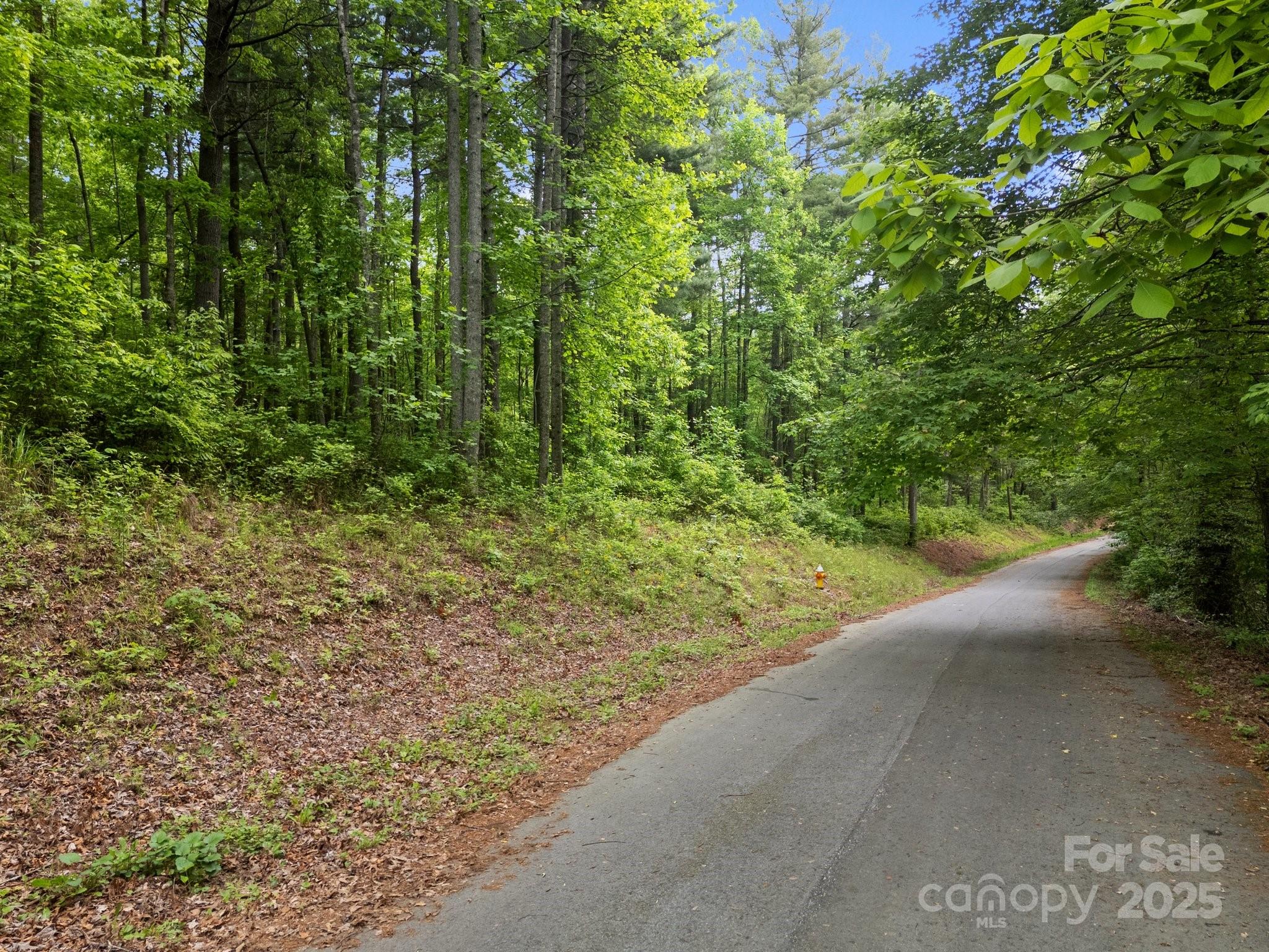 King Creek Preserve - Land