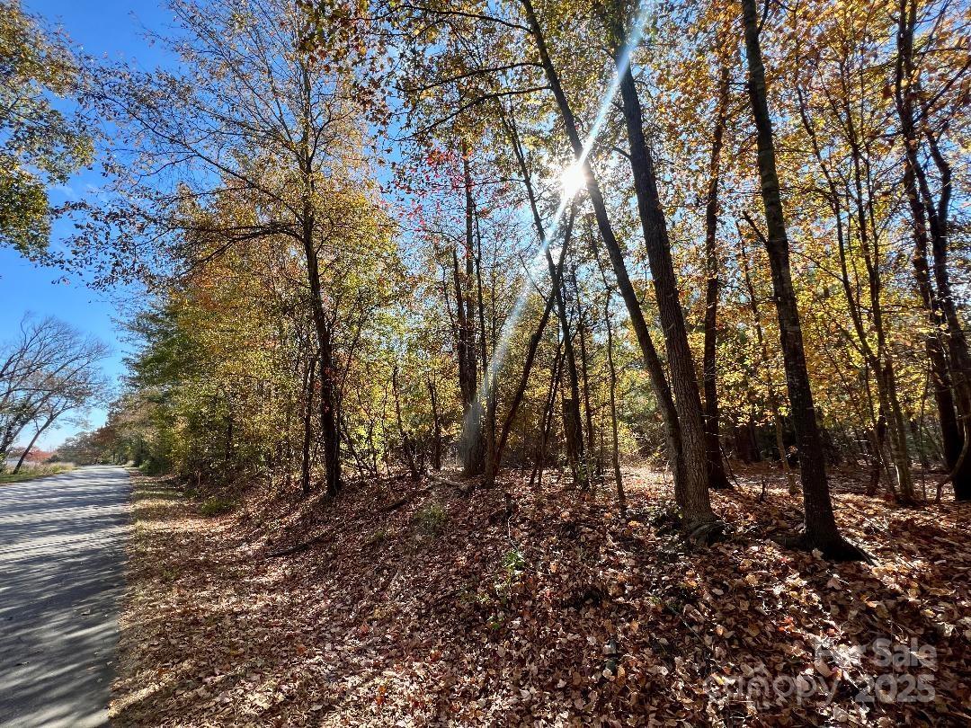 03 Old Camden Highway