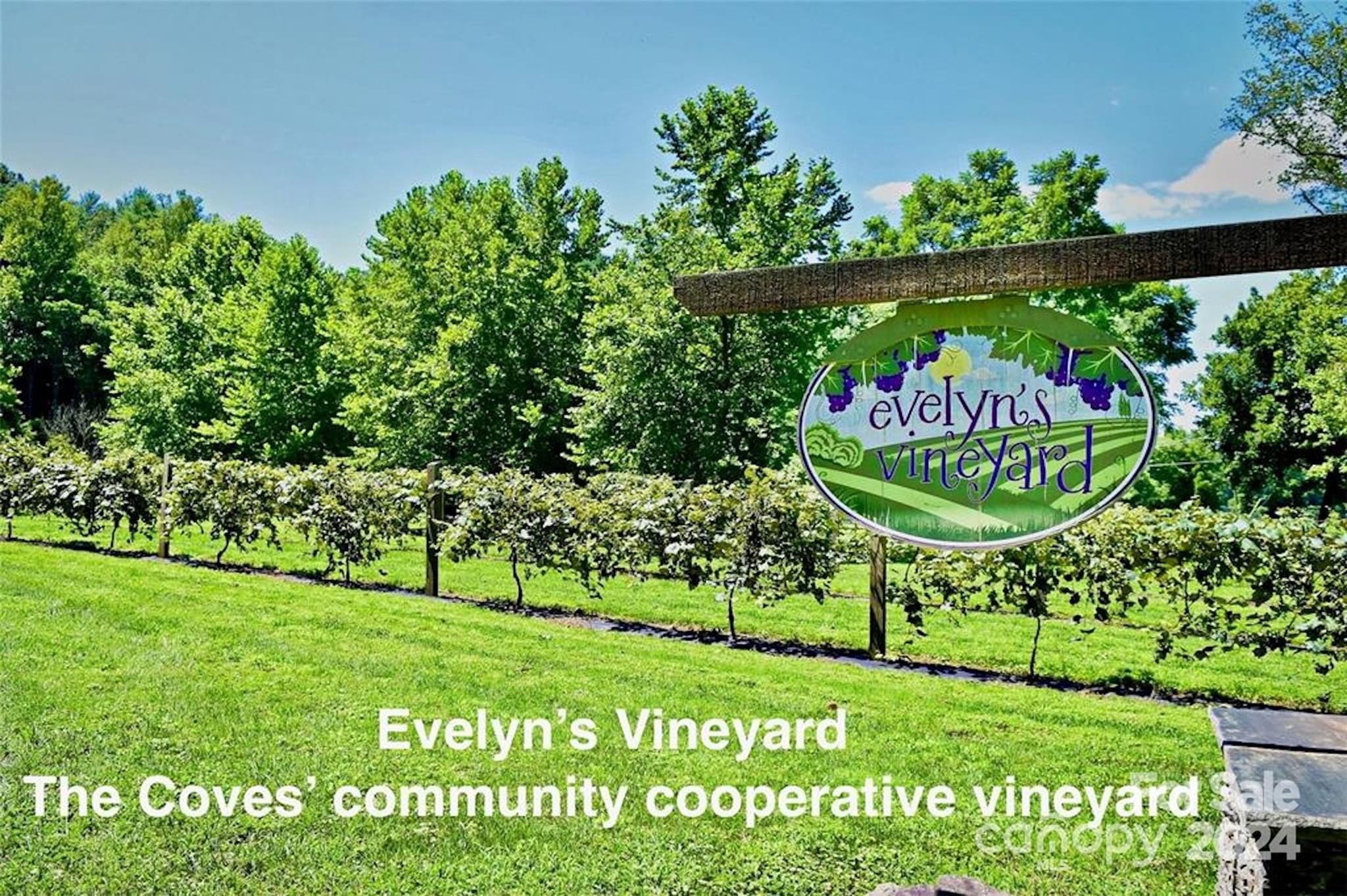 The Coves Mountain River Club - Land