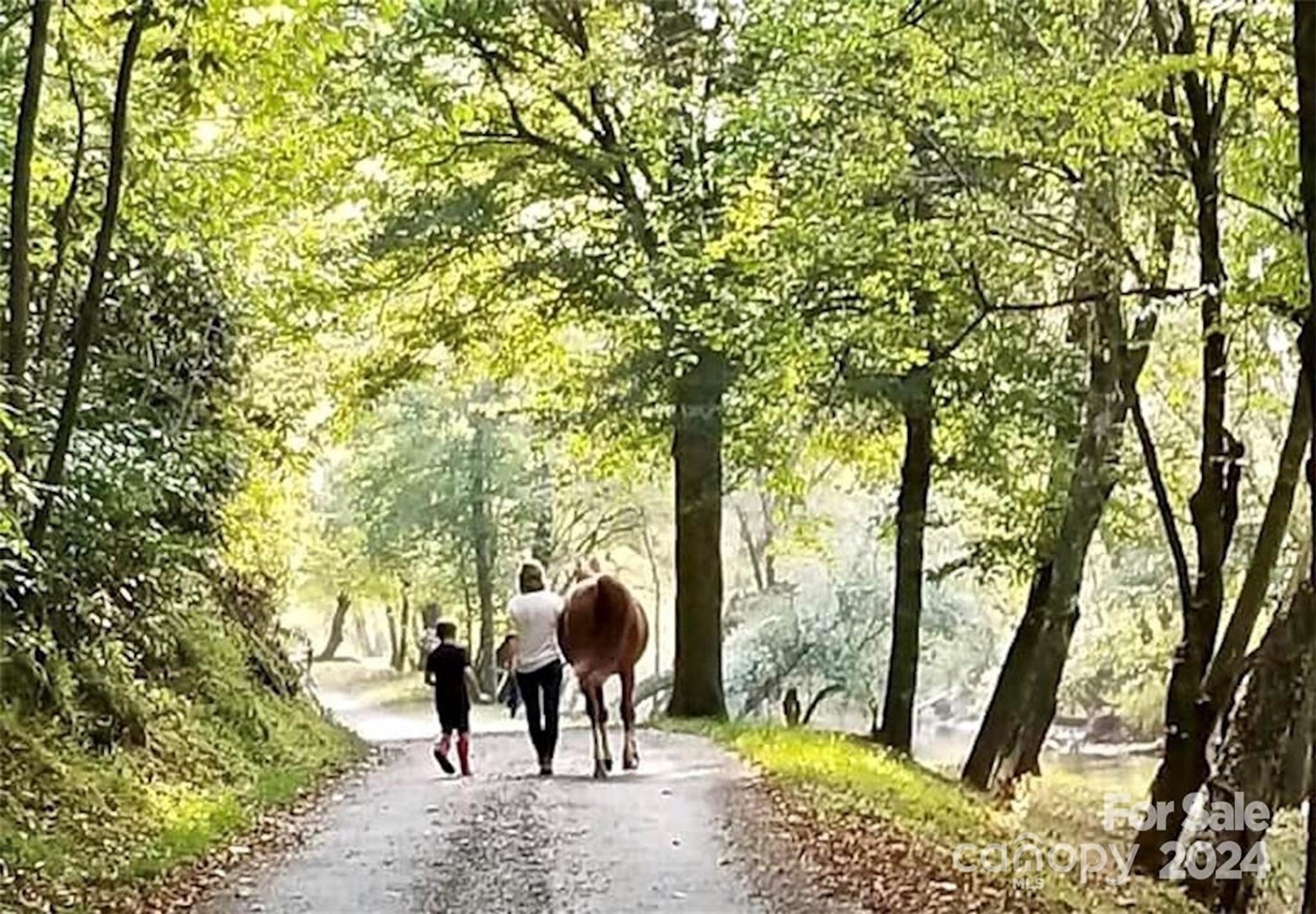 The Coves Mountain River Club - Land