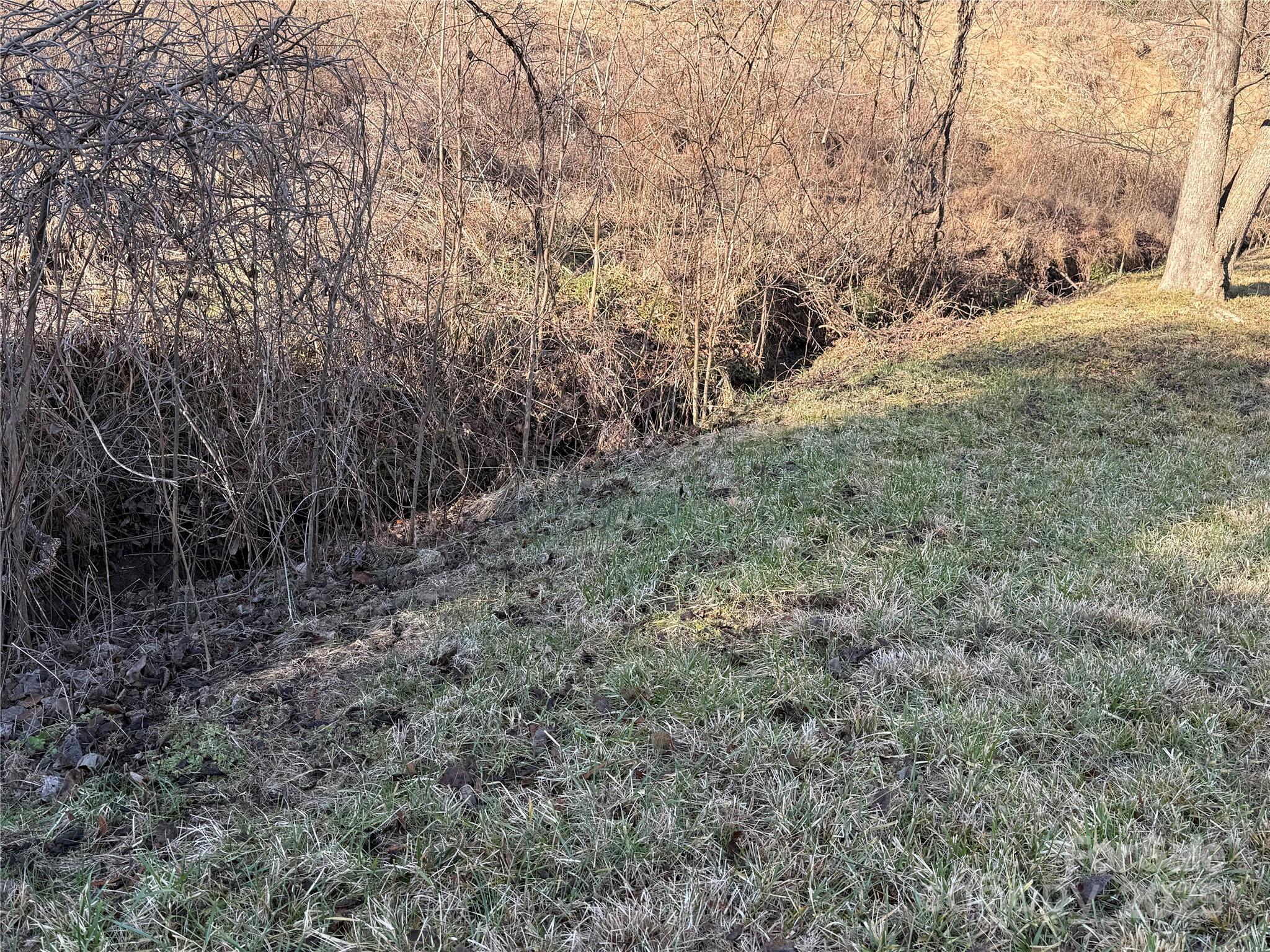 Whiteville Park - Land