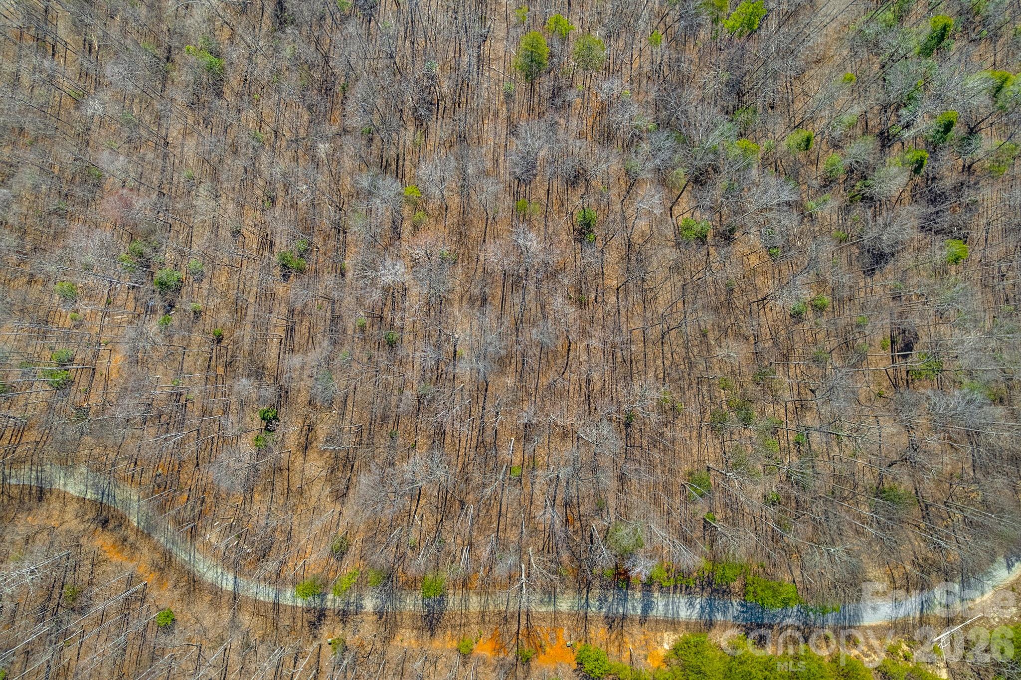 00 Champagne Ridge