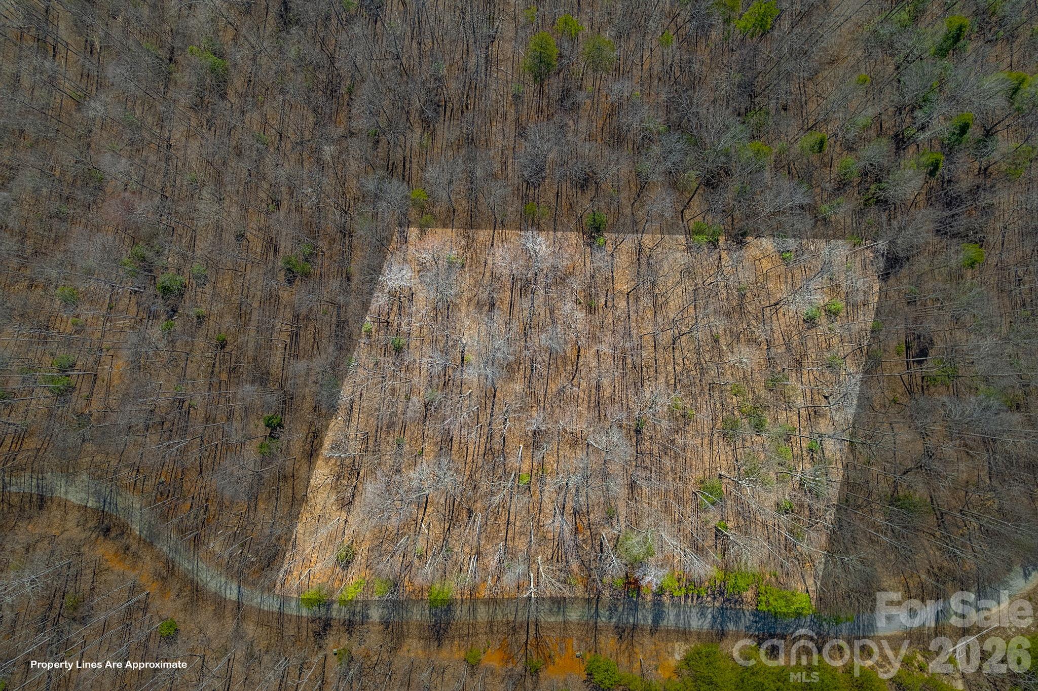 00 Champagne Ridge