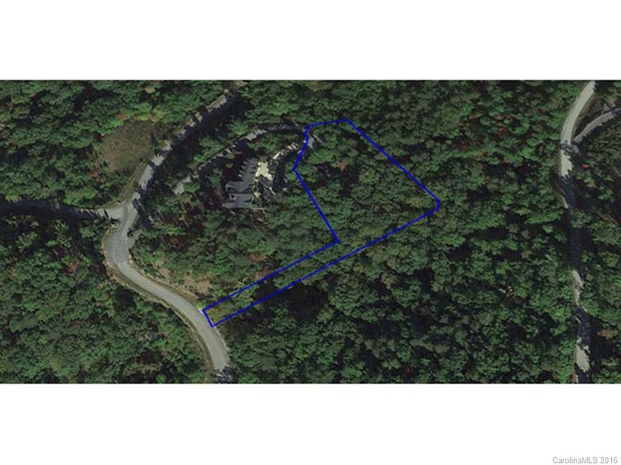 Panoramic and Phenomenal long range Multi-Layered views of the Blue Ridge Mountains, Chimney Rock, Hickory Nut Gorge from this wonderful home site. With Easy access paved roads at the end of a Cul-De-Sac. Just minutes to Asheville, Hendersonville, The Tryon International Equestrian Center, The Blue Ridge Parkway and more.