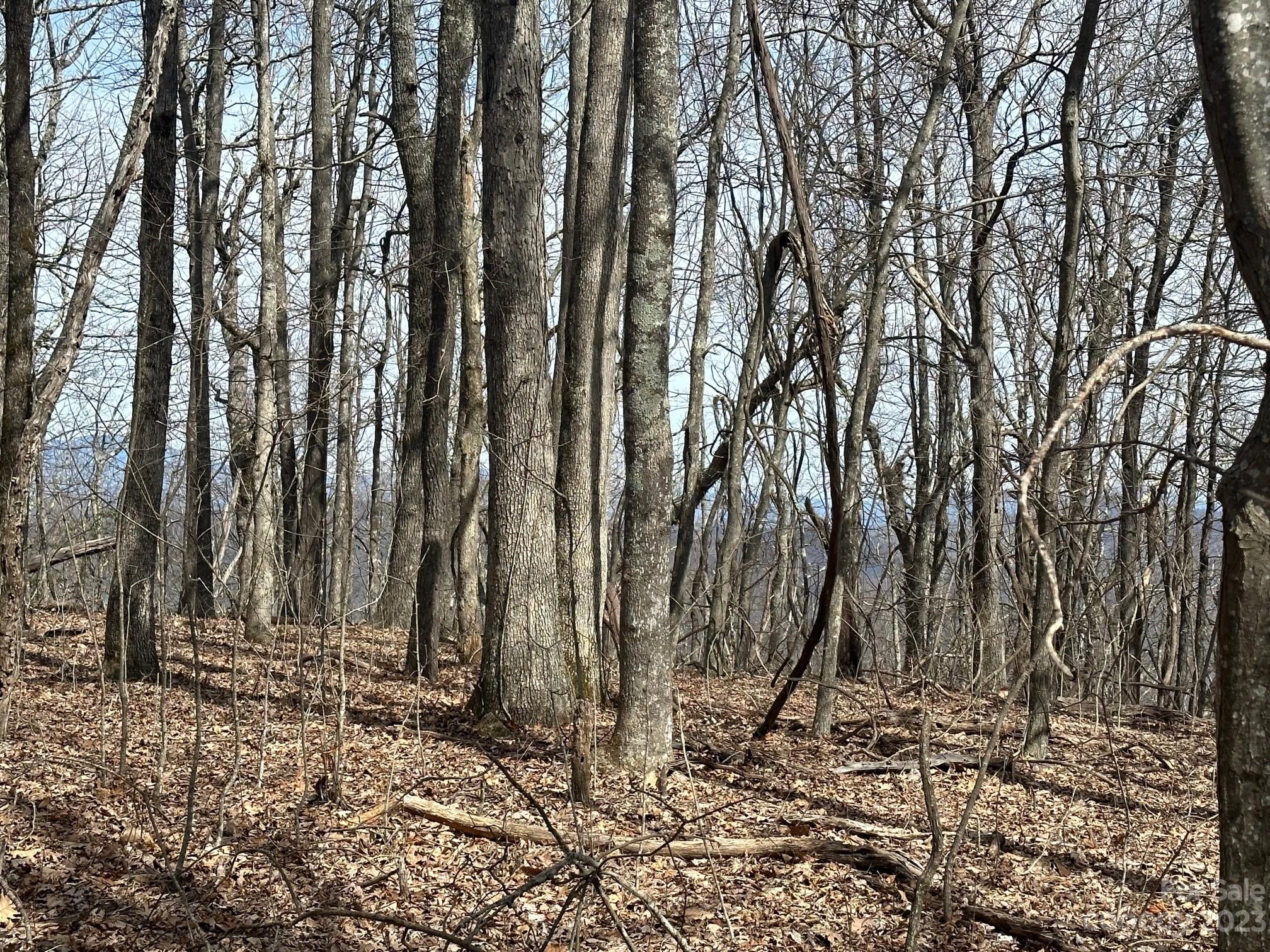 None - Land