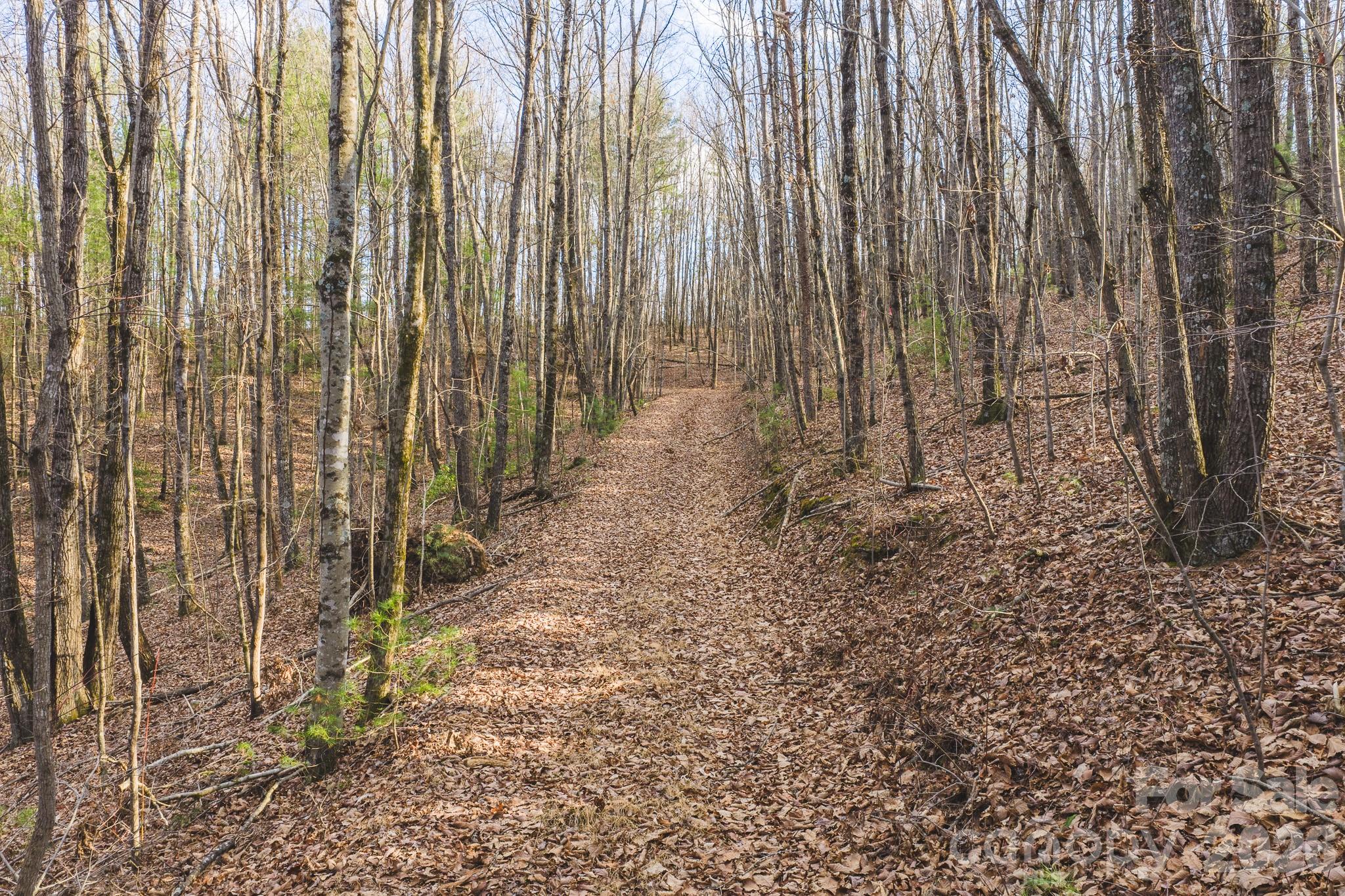 TBD All Healing Springs Road 2