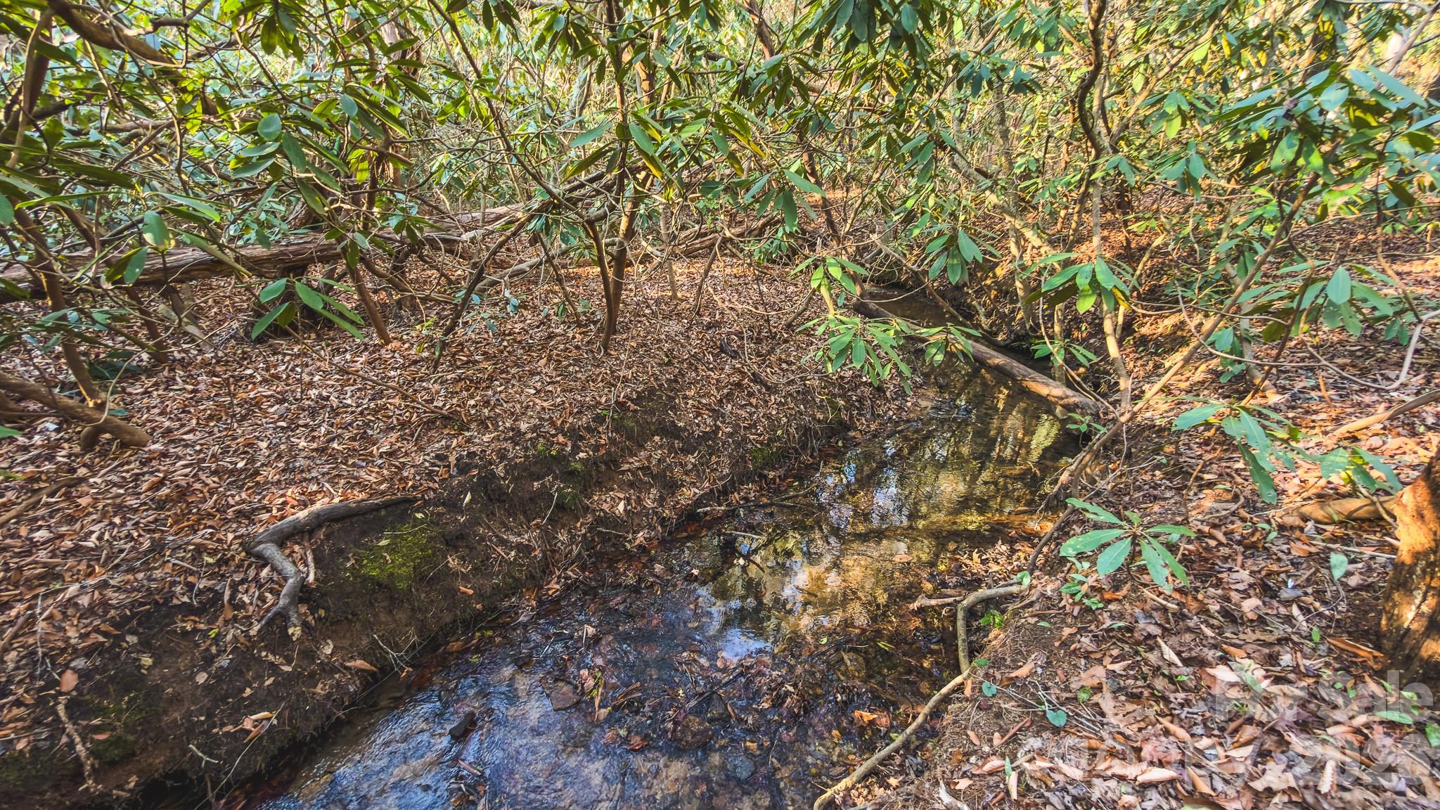 TBD All Healing Springs Road 2