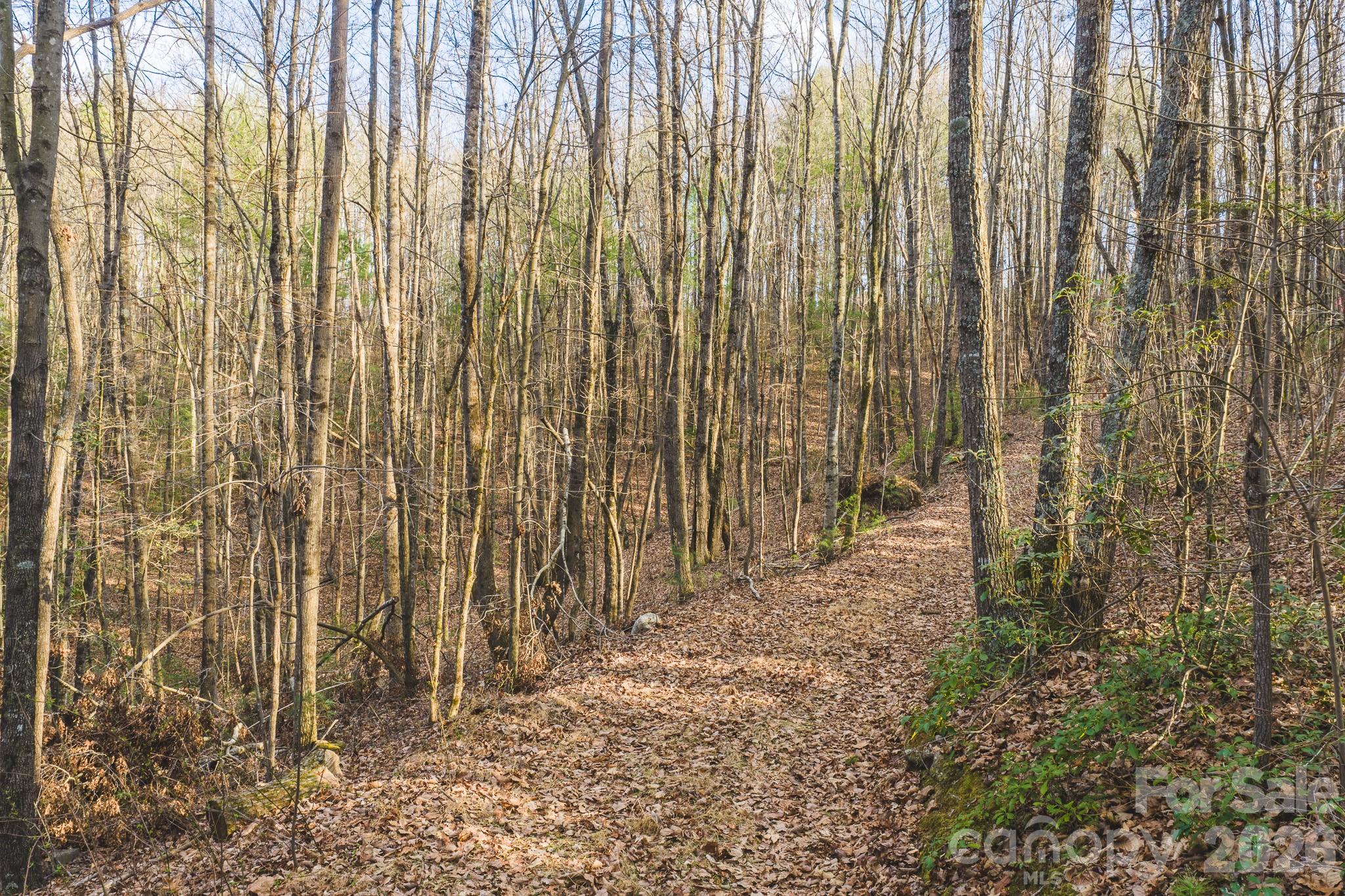 TBD All Healing Springs Road 2