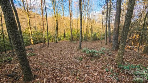 Photo of TBD All Healing Springs Road #2, Taylorsville, NC 28681 (MLS # 4365316)