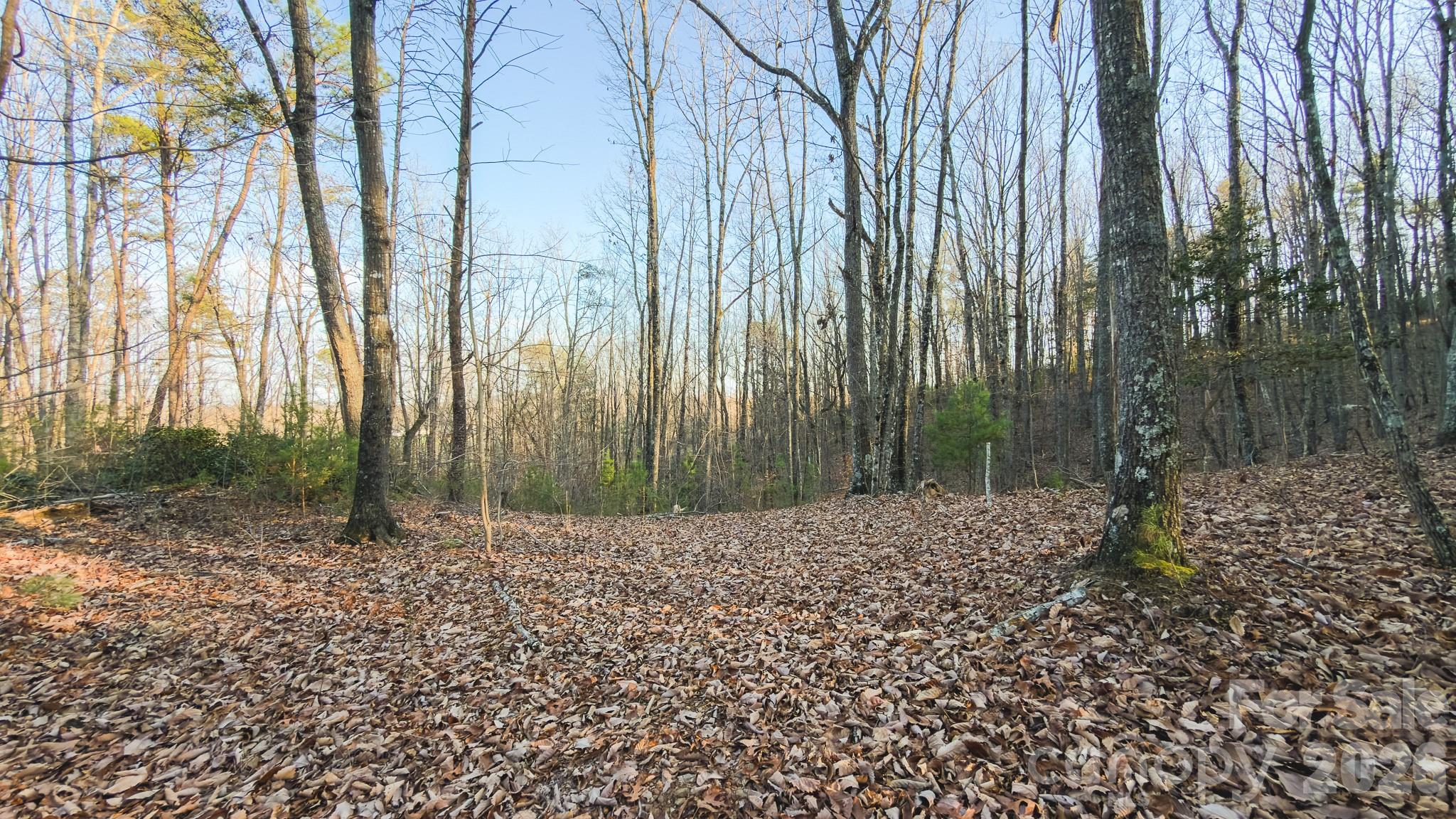 TBD All Healing Springs Road 2