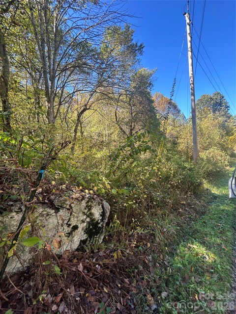 Photo of 00 Asbury Road, Waynesville, NC 28786 (MLS # 4434057)