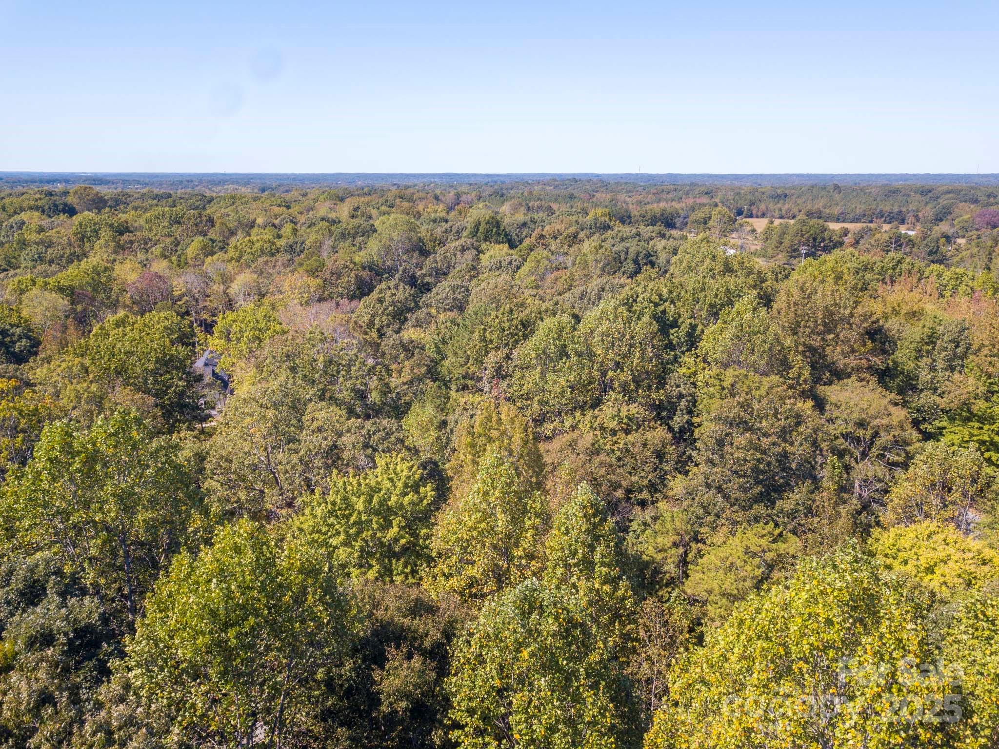 Pleasant Ridge - Land