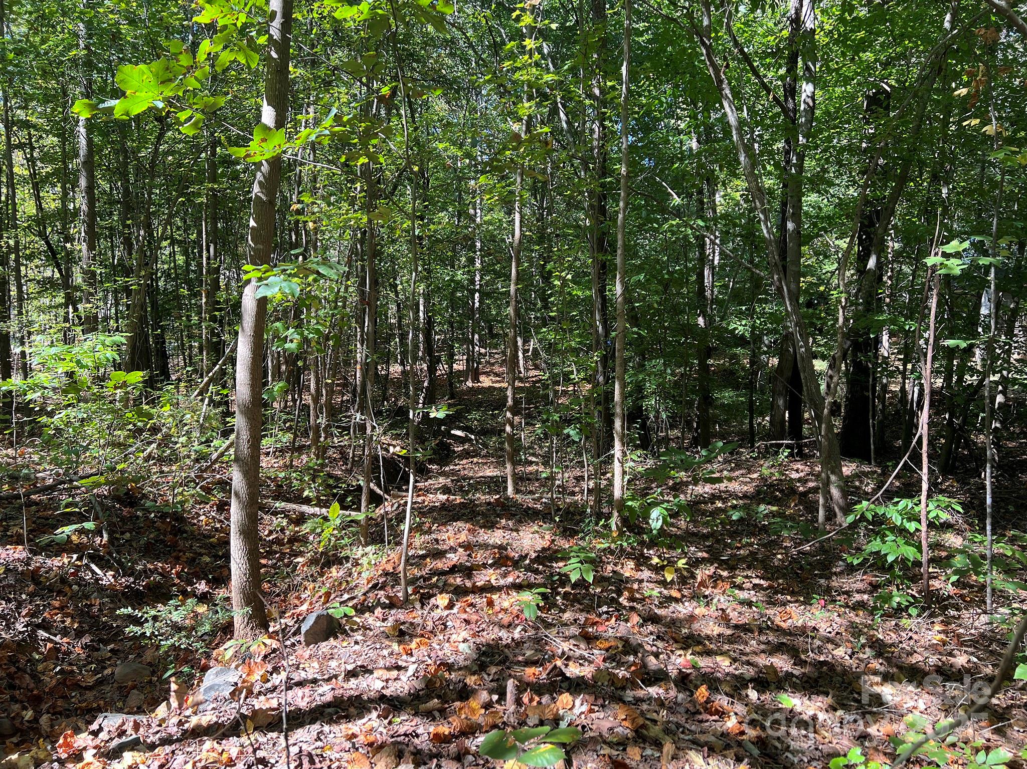 Pleasant Ridge - Land