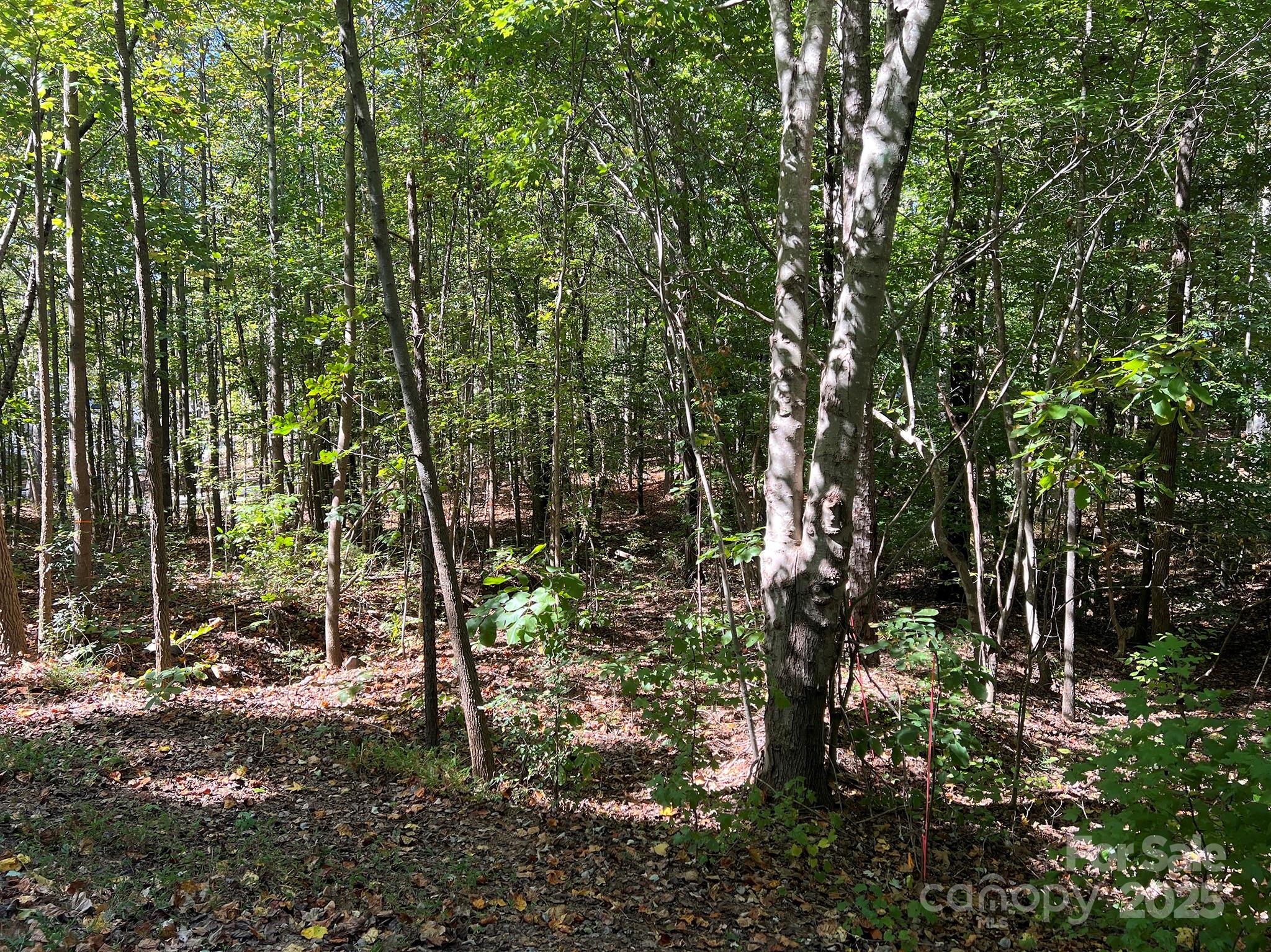 Pleasant Ridge - Land