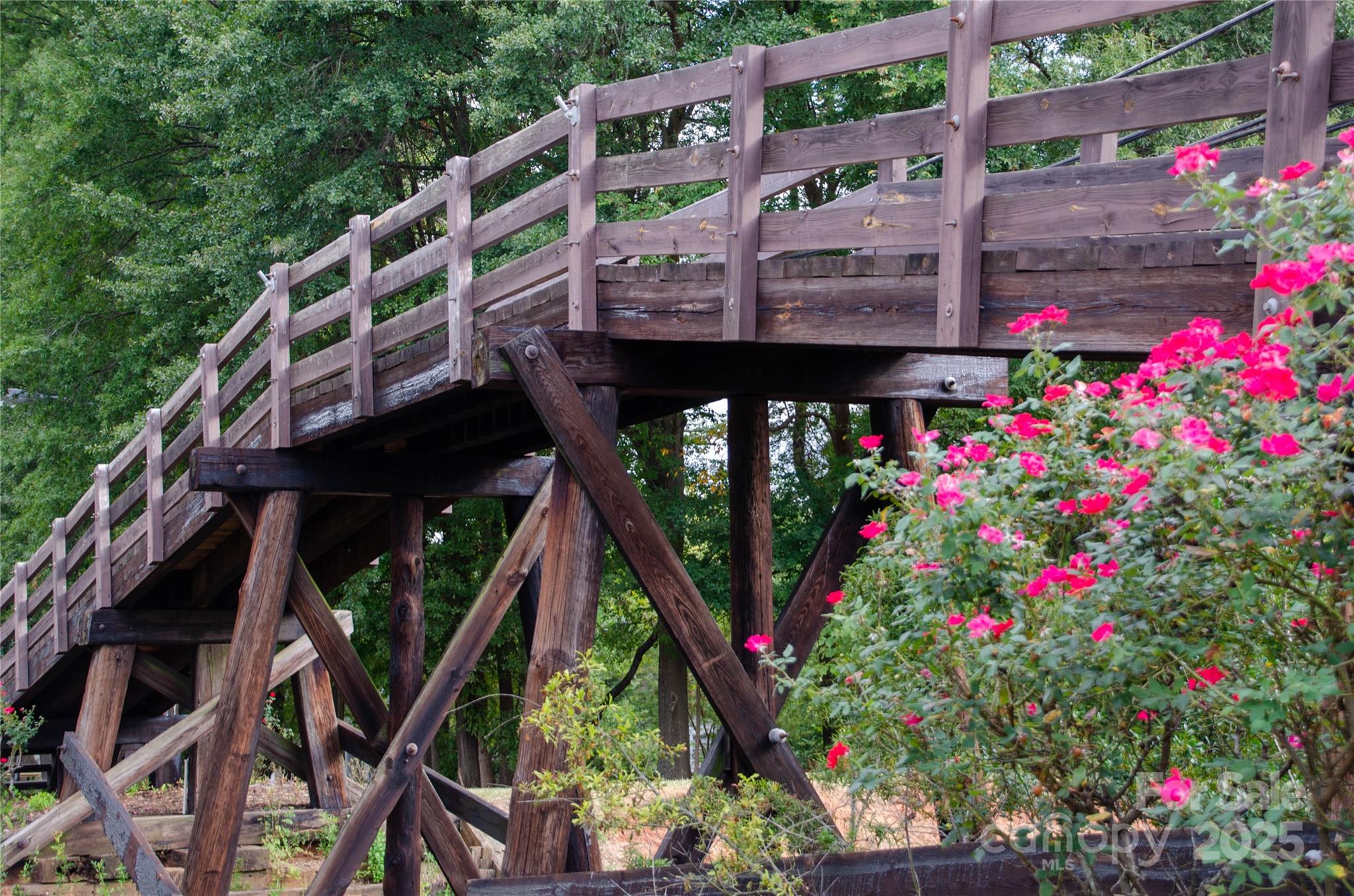 Pleasant Ridge - Land