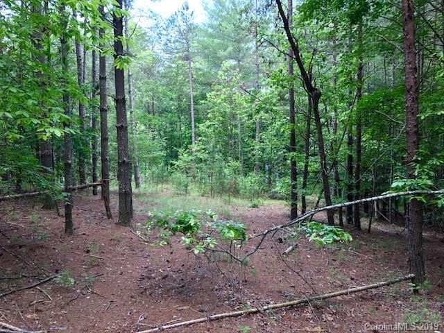 Old Wildlife Club - Commercial Sale