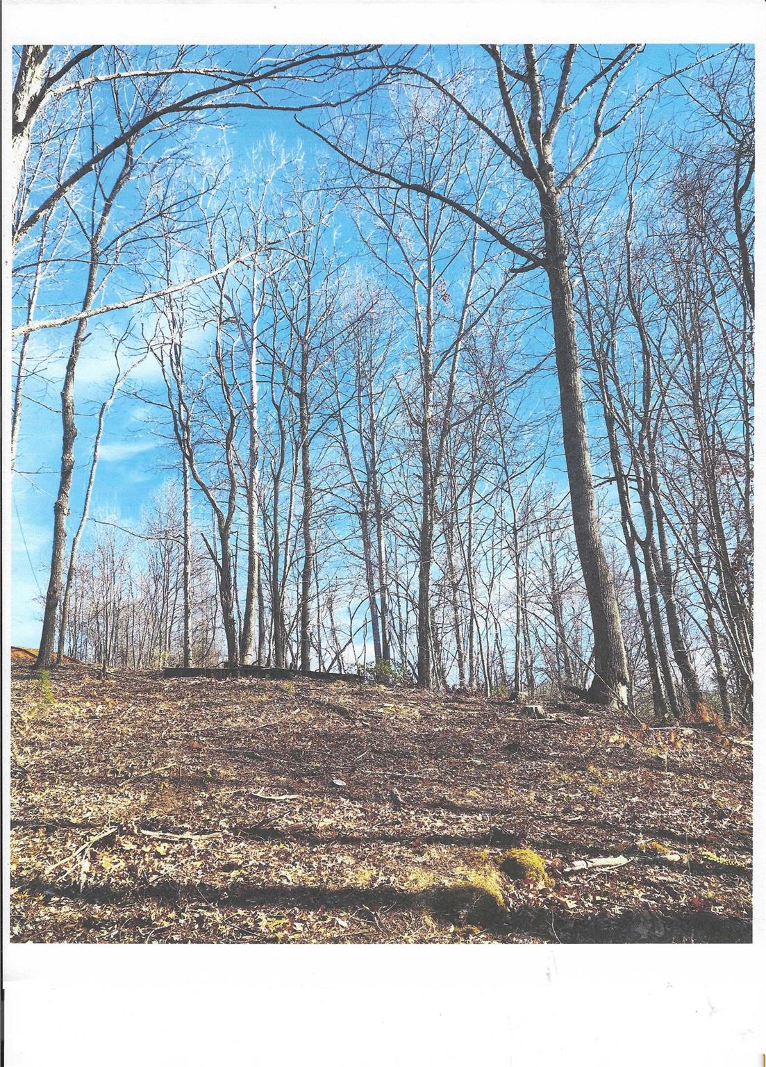 Lot #4 Windy Cove Lane NW