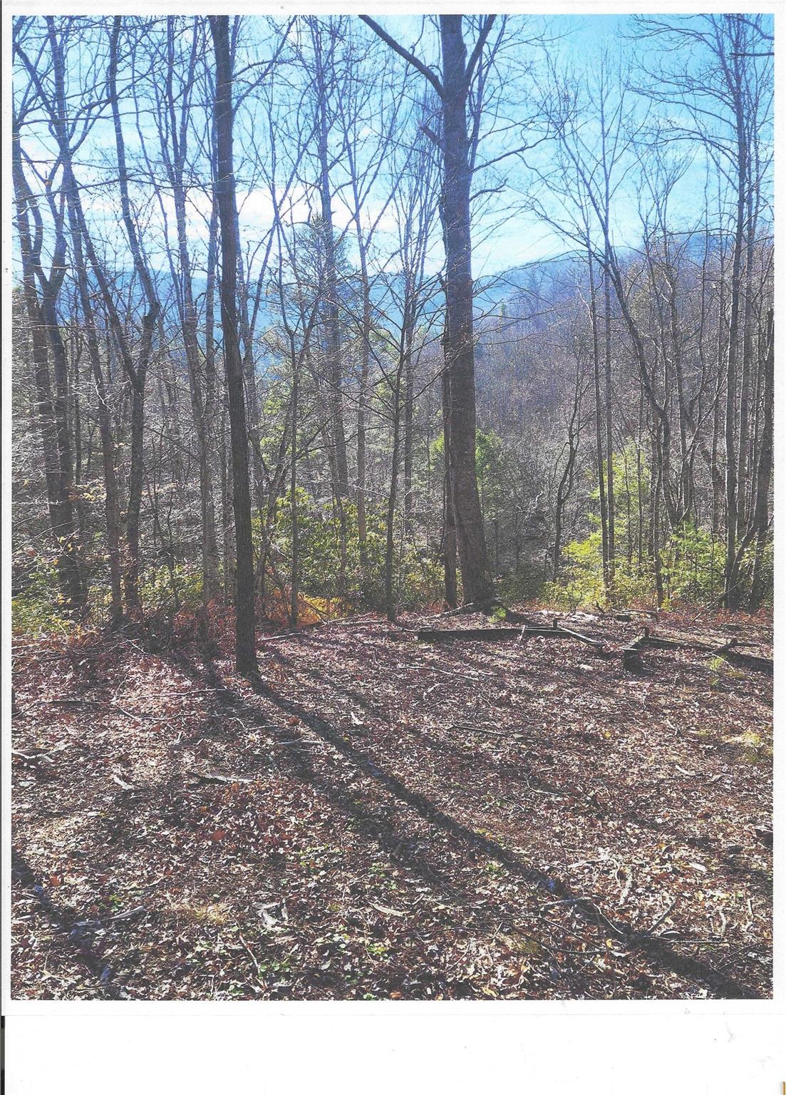 Lot #4 Windy Cove Lane NW