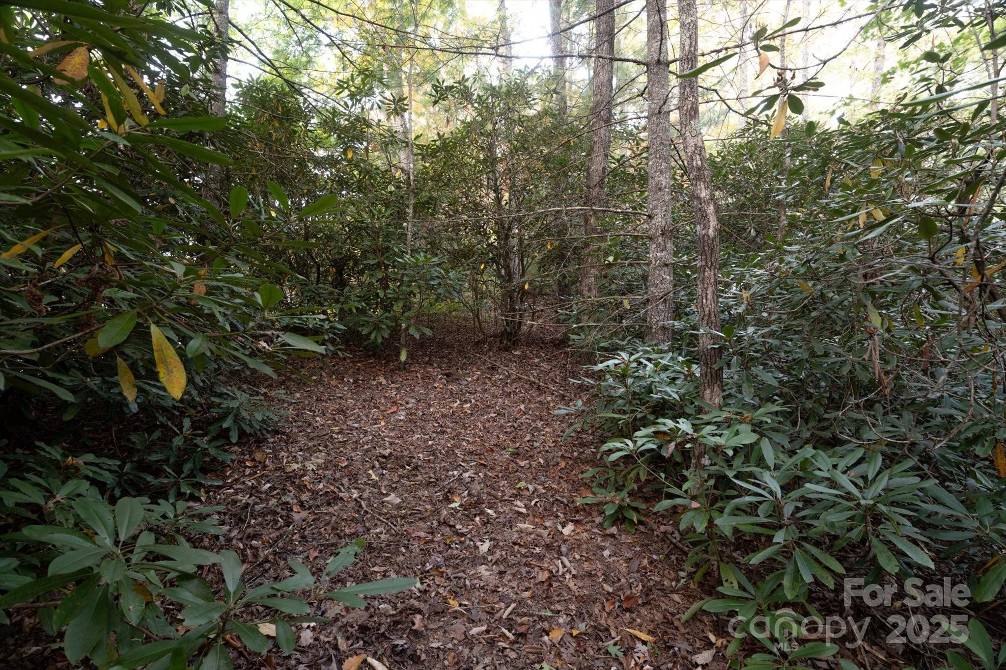 TBD Pine Mountain Trail M8